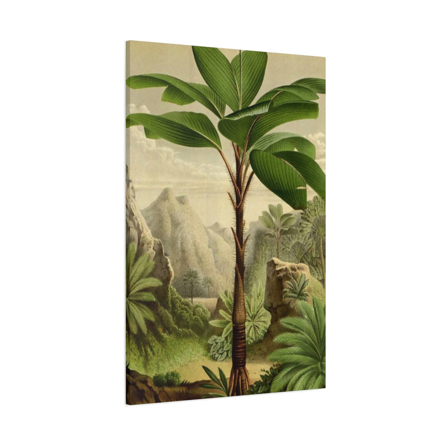 Palm Tree In The Forest Wall Art & Canvas Prints