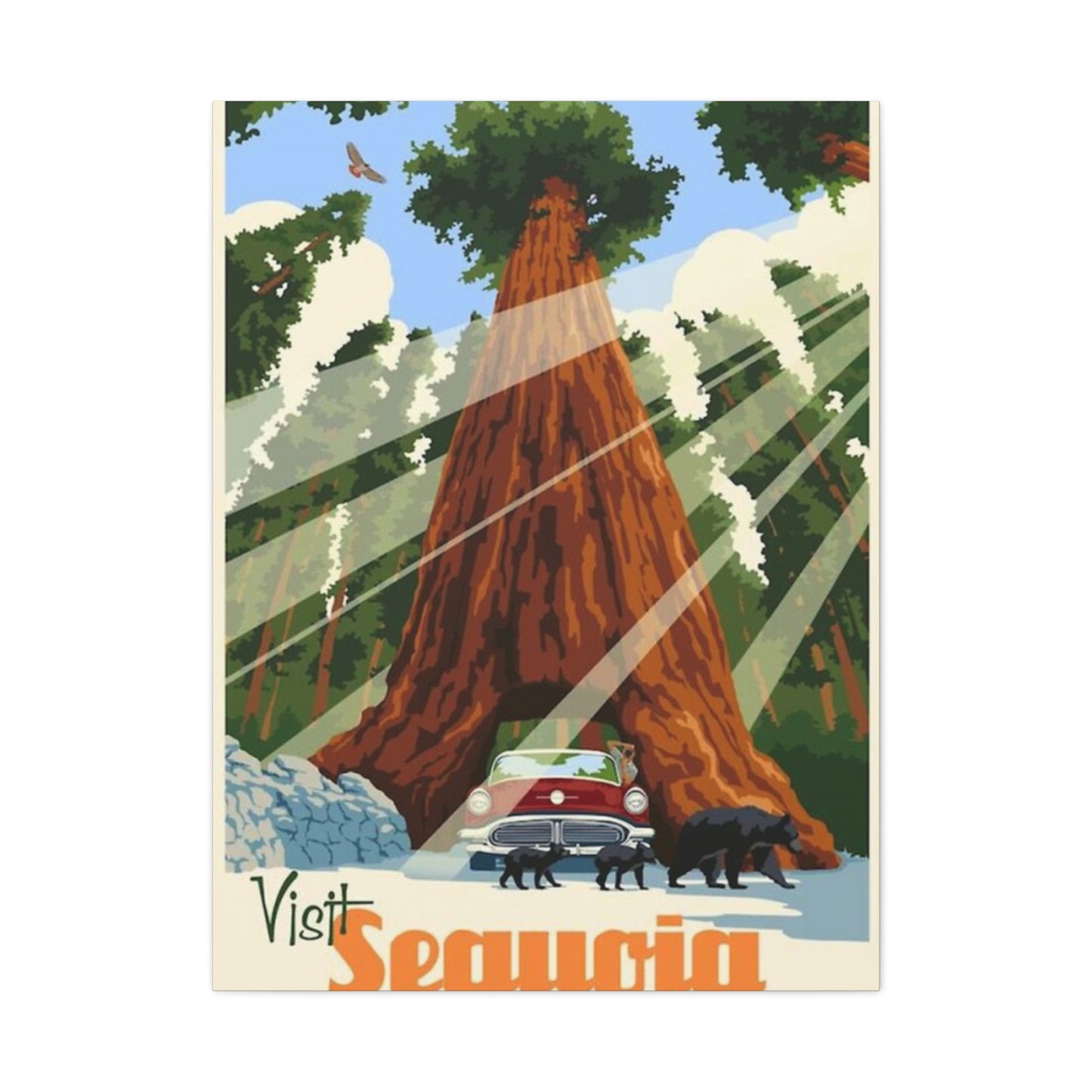 Sequoia Poster The National Park Wall Art & Canvas Prints