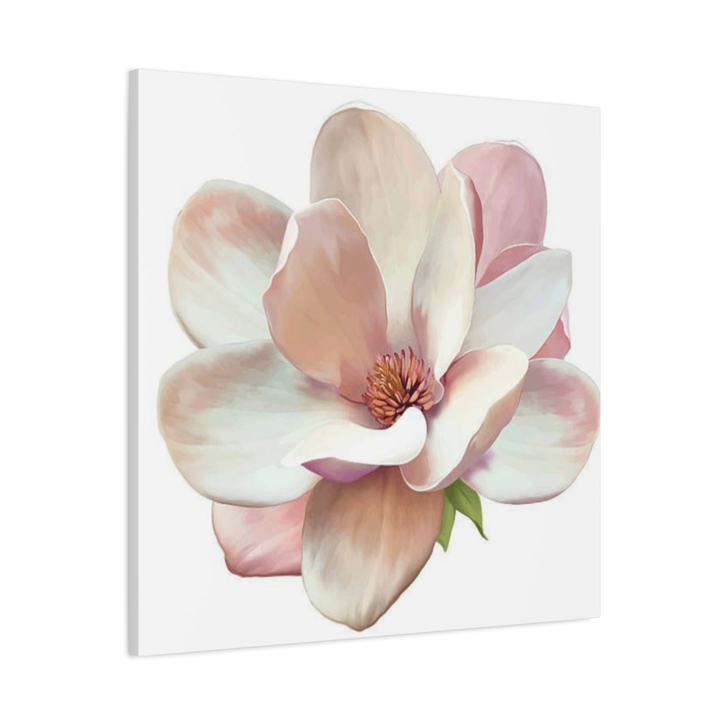 Pink Magnolia Flower Wall Art & Canvas Prints