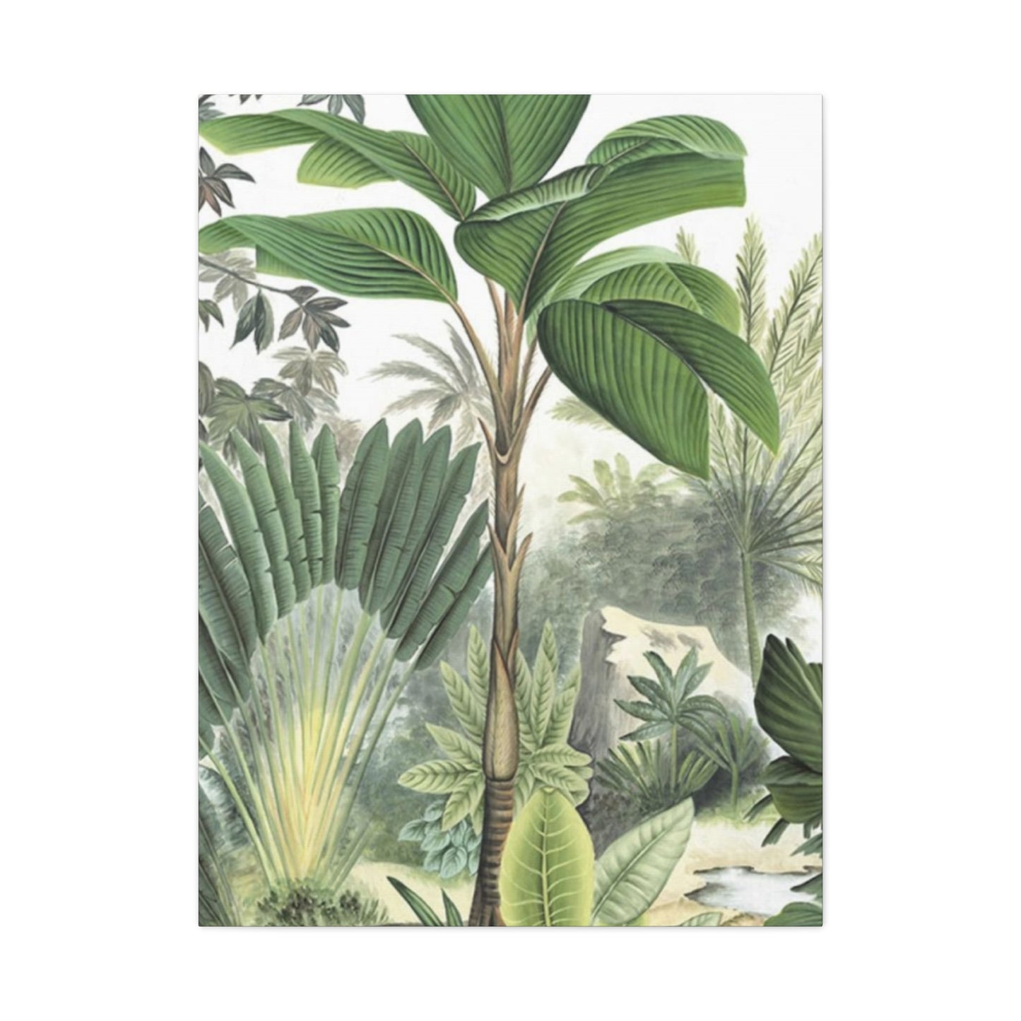 Palm Tree Green Leaves In Forest Wall Art & Canvas Prints