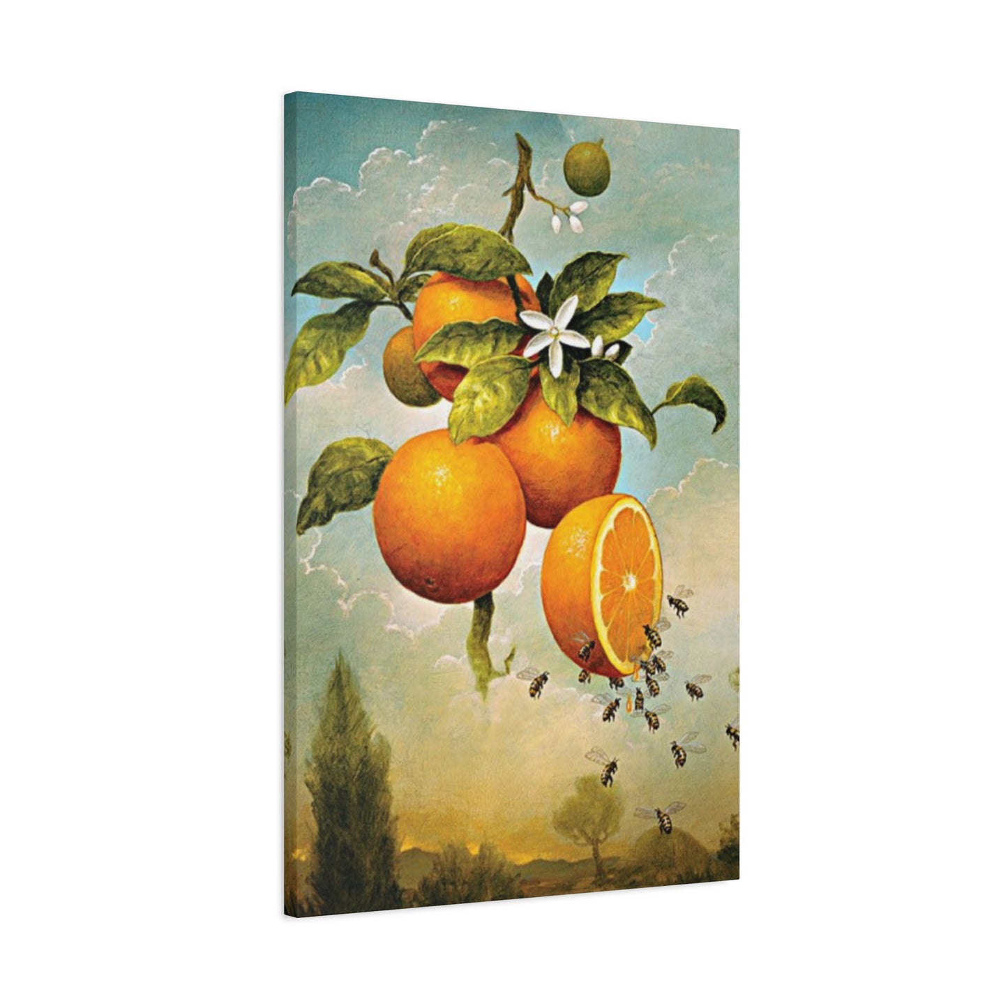 Orange Fruit Wall Art & Canvas Prints