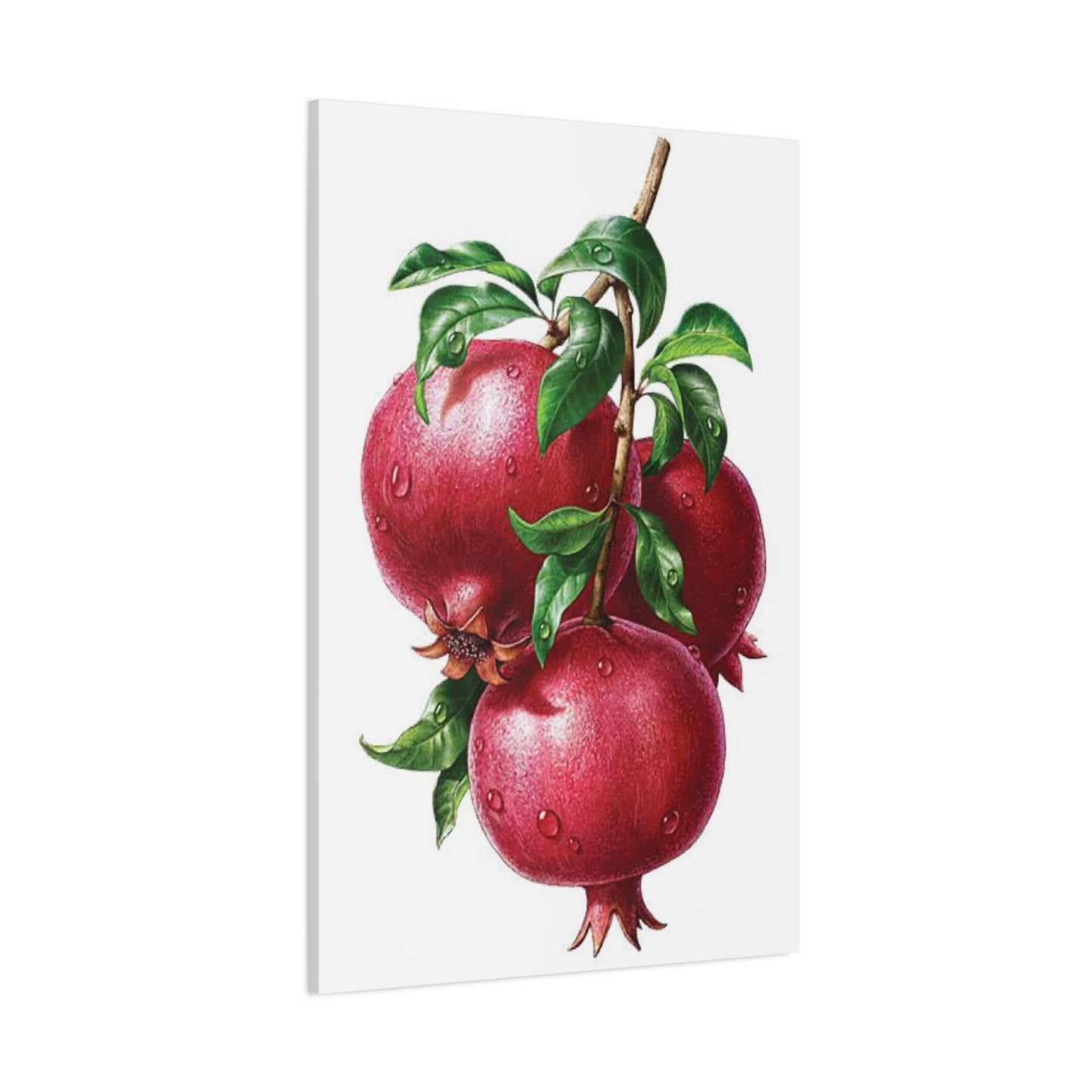 Pomegranate Wall Art & Canvas Prints