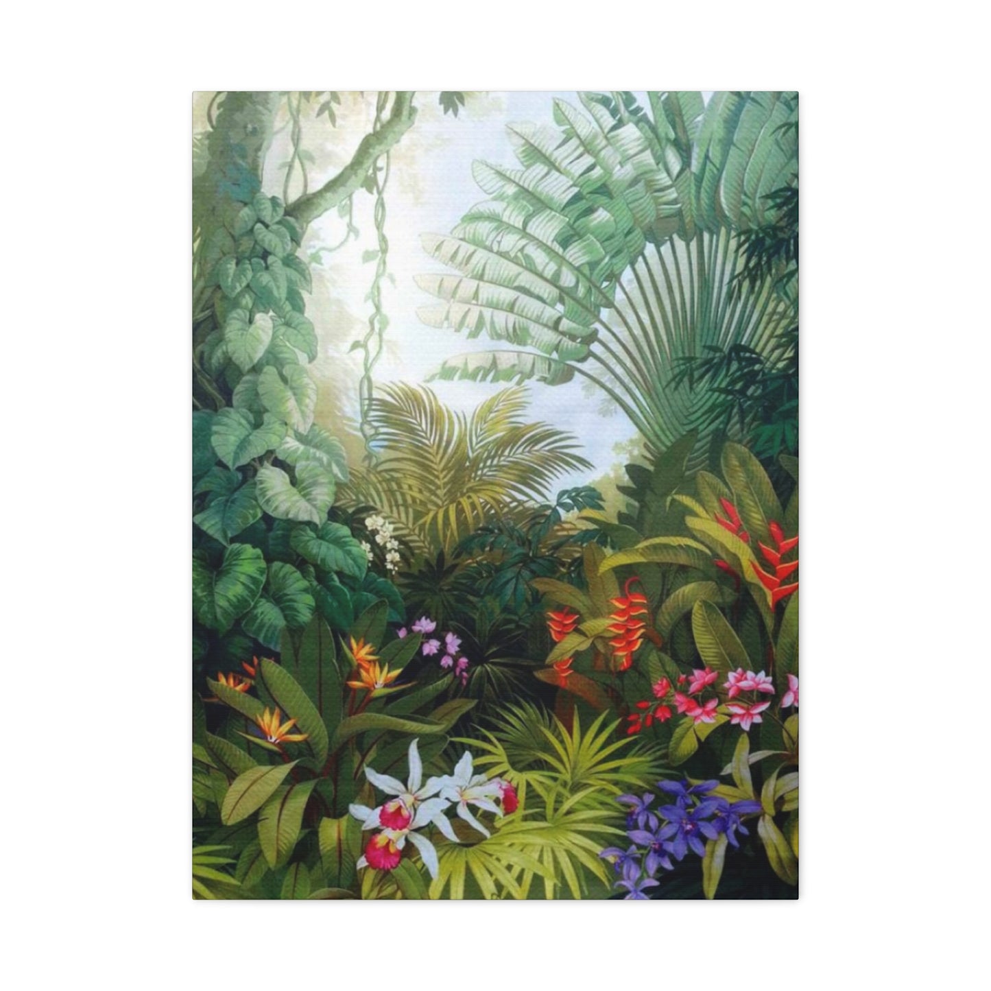 Dense Forest Wall Art & Canvas Prints