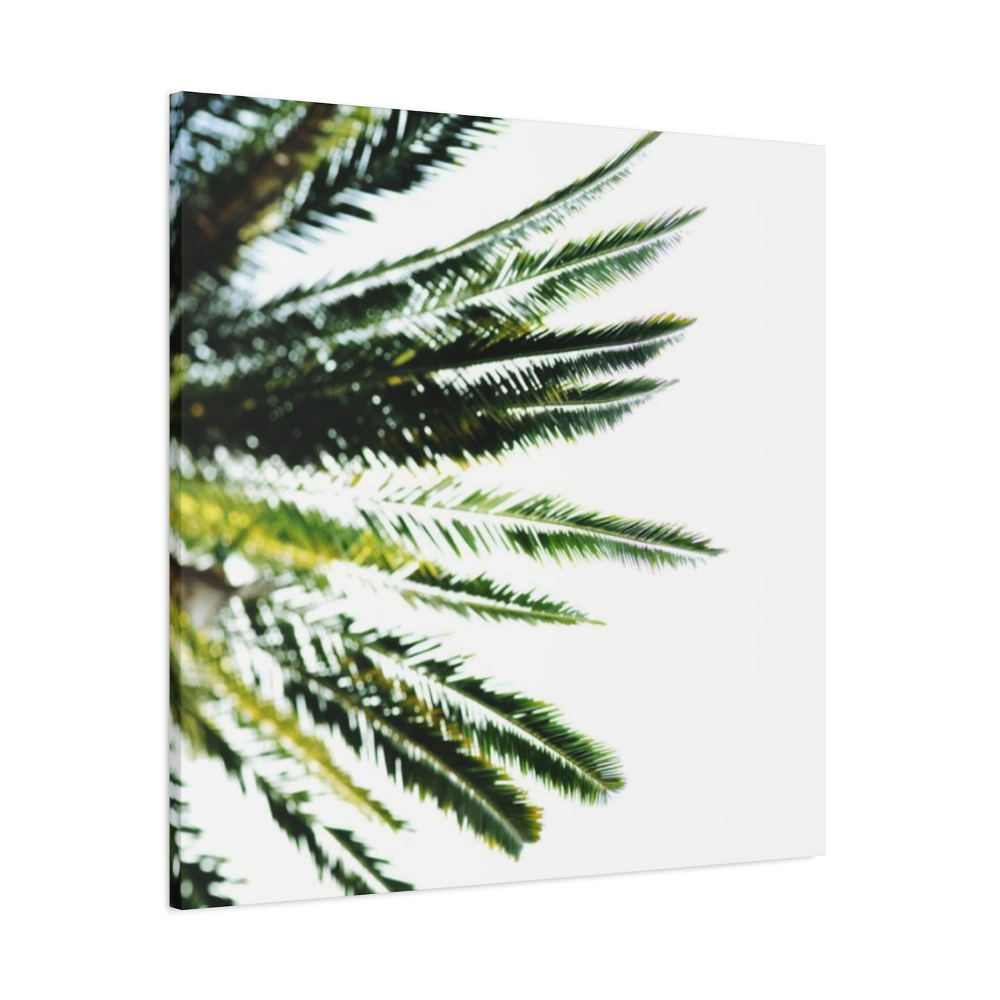 Palm Tree Leaves Wall Art & Canvas Prints