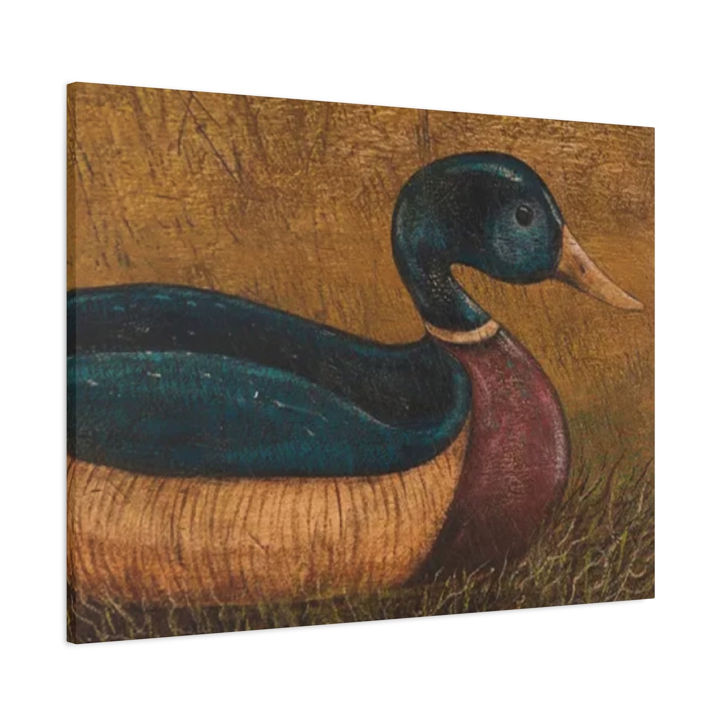 Duck Kimble Warren Wall Art & Canvas Prints