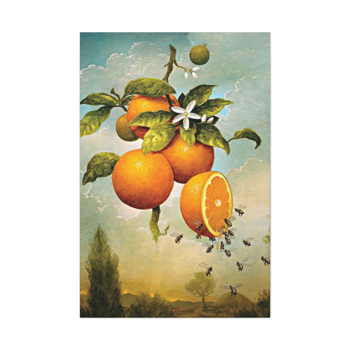 Orange Fruit Wall Art & Canvas Prints