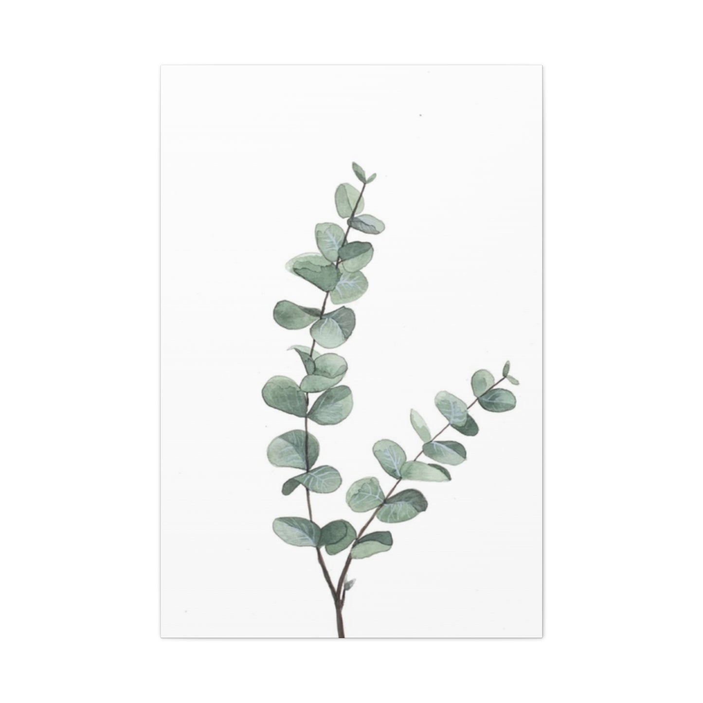 Two Eucalyptus Stem Wall Art & Canvas Prints