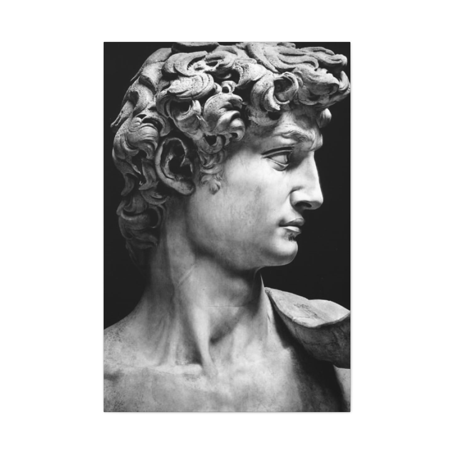 Sculpture If David Oil Painting Modernism Wall Art & Canvas Prints