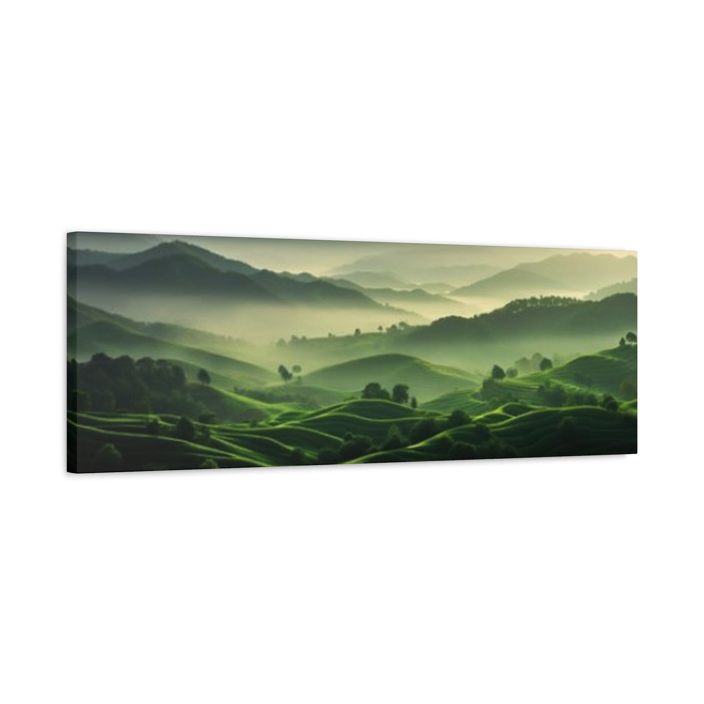 Morning Green Grasslands Panoramas Wall Art & Canvas Prints