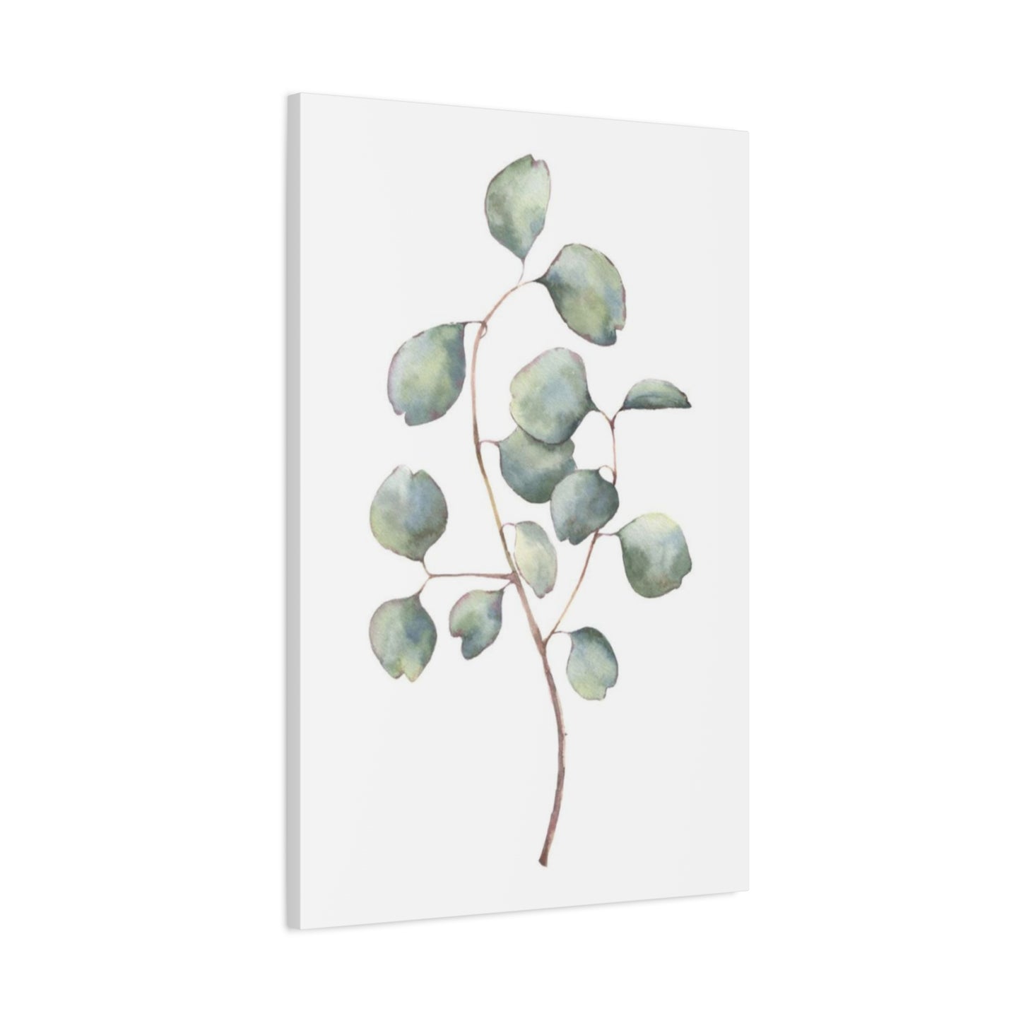 Eucalyptus Stem Wall Art & Canvas Prints