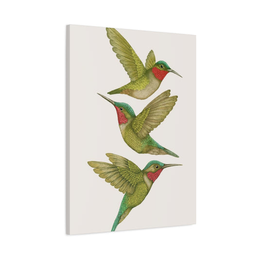 Three Green Humming Bird Painting Wall Art & Canvas Prints