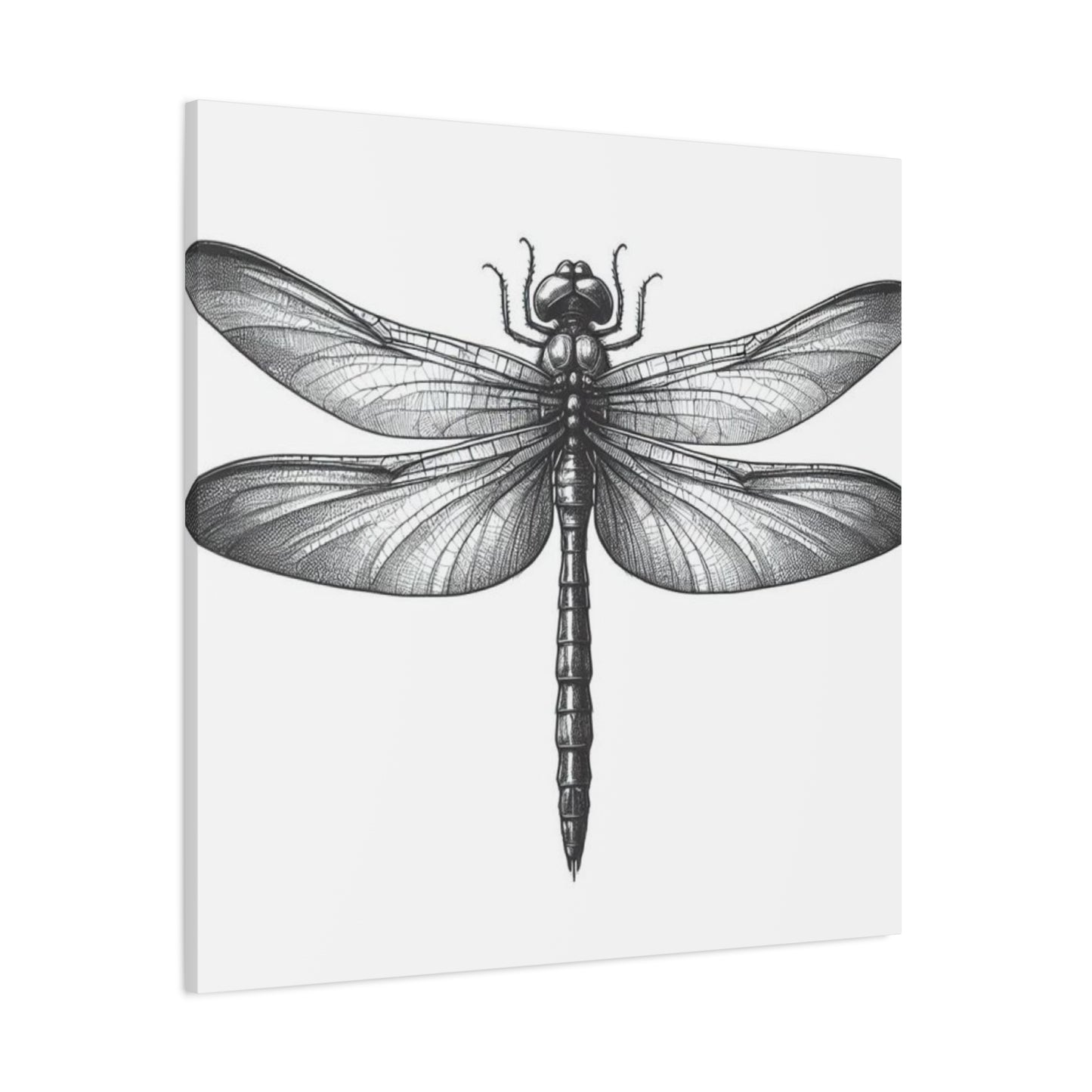 Top of Black Dragonfly Wall Art & Canvas Prints