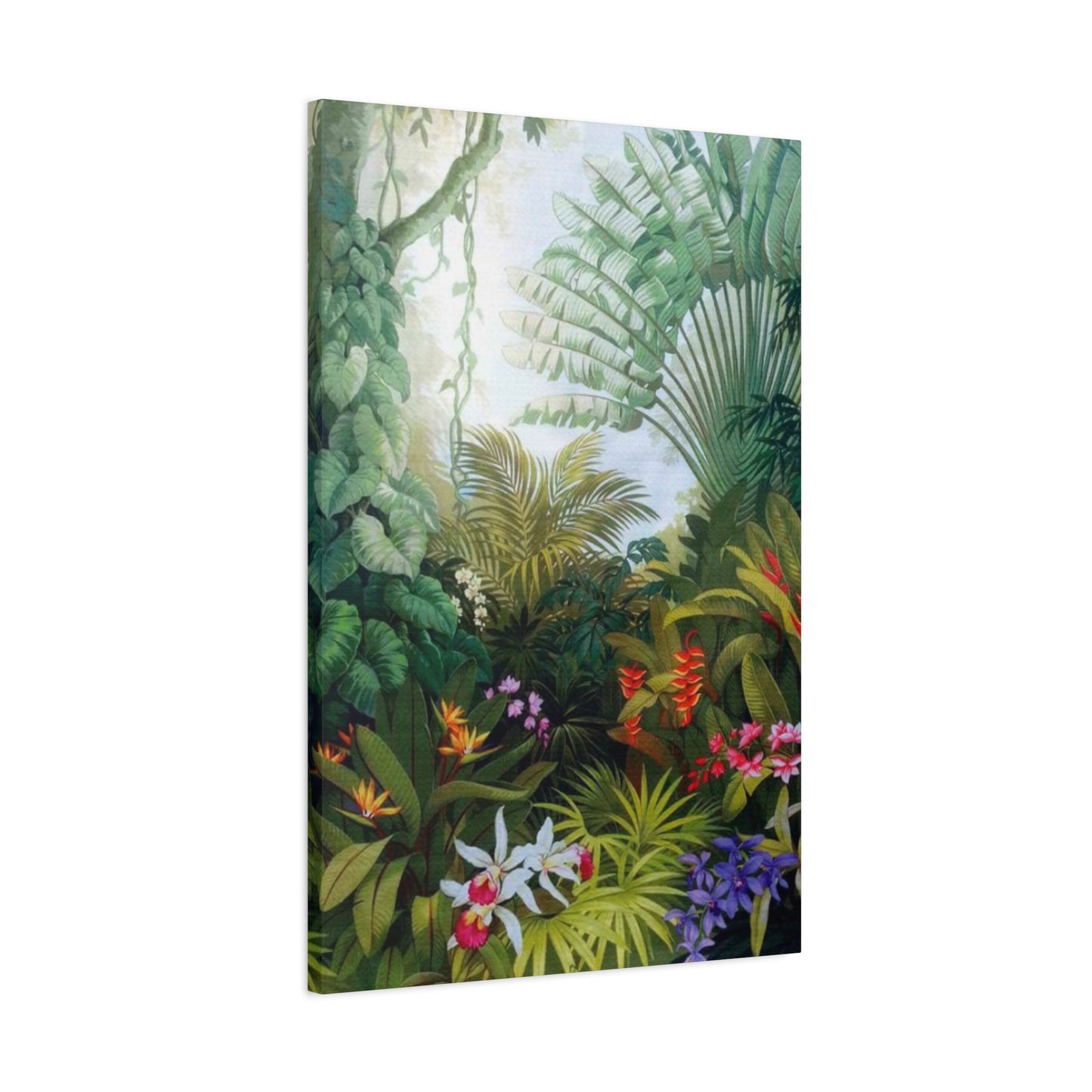 Dense Forest Wall Art & Canvas Prints