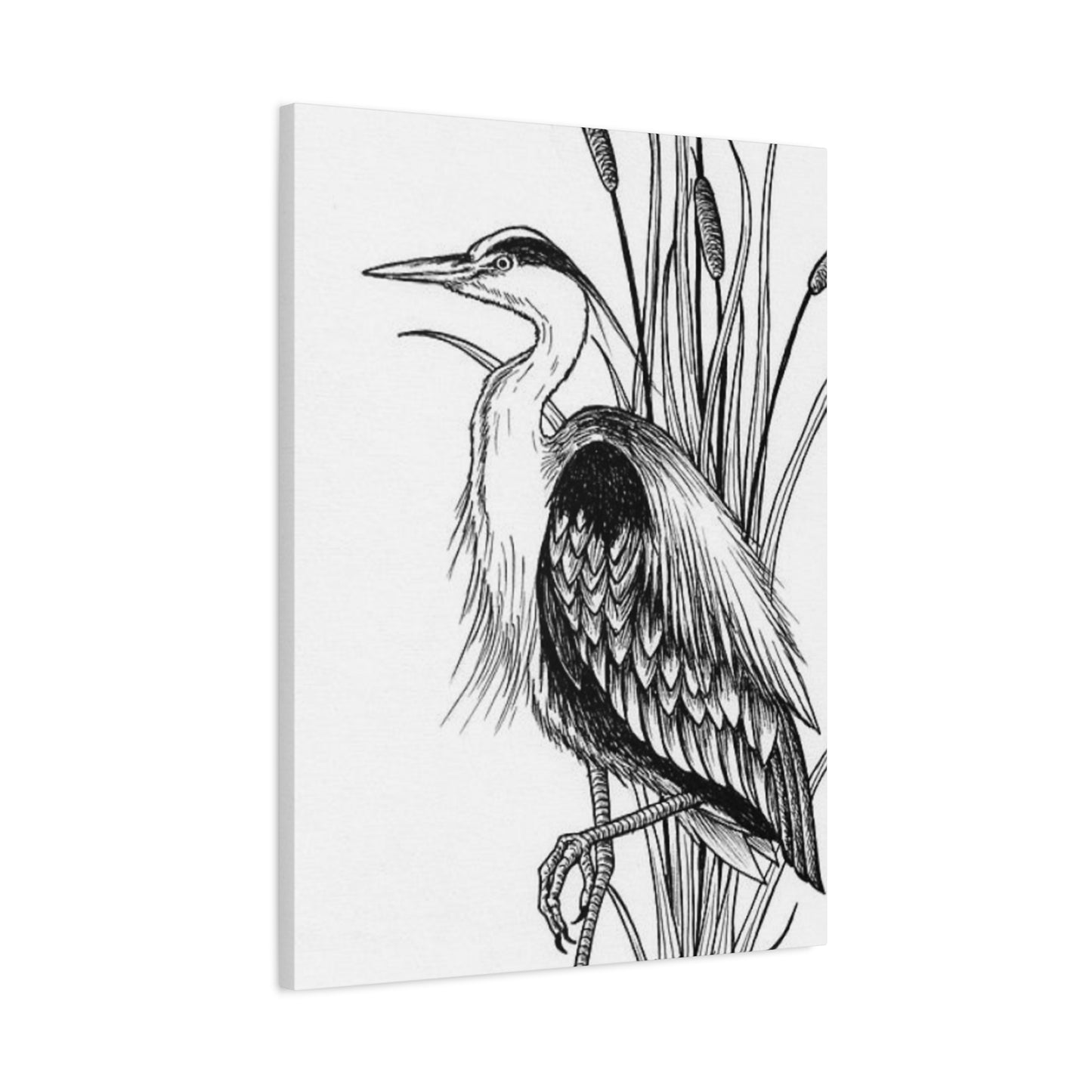 White Heron Drawing Wall Art & Canvas Prints