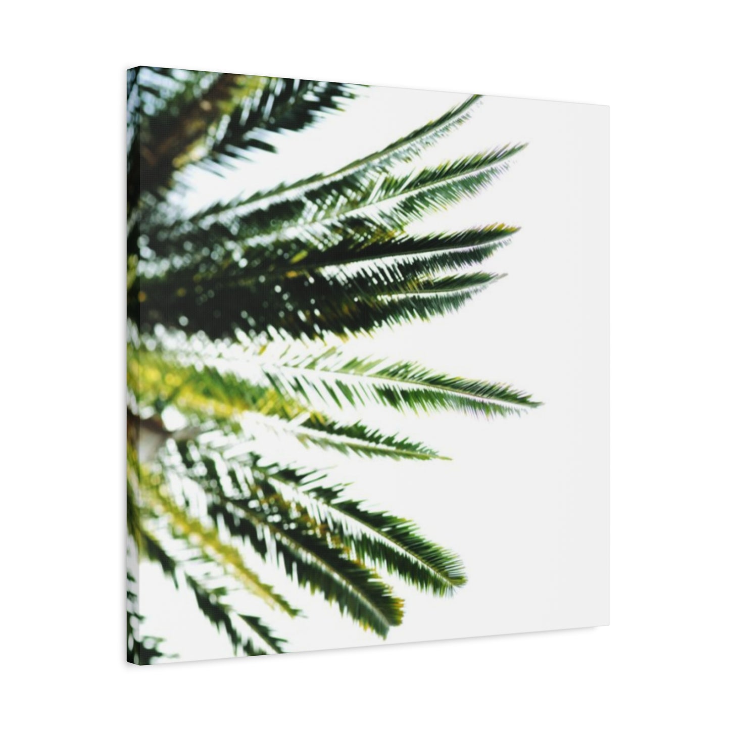 Palm Tree Leaves Wall Art & Canvas Prints