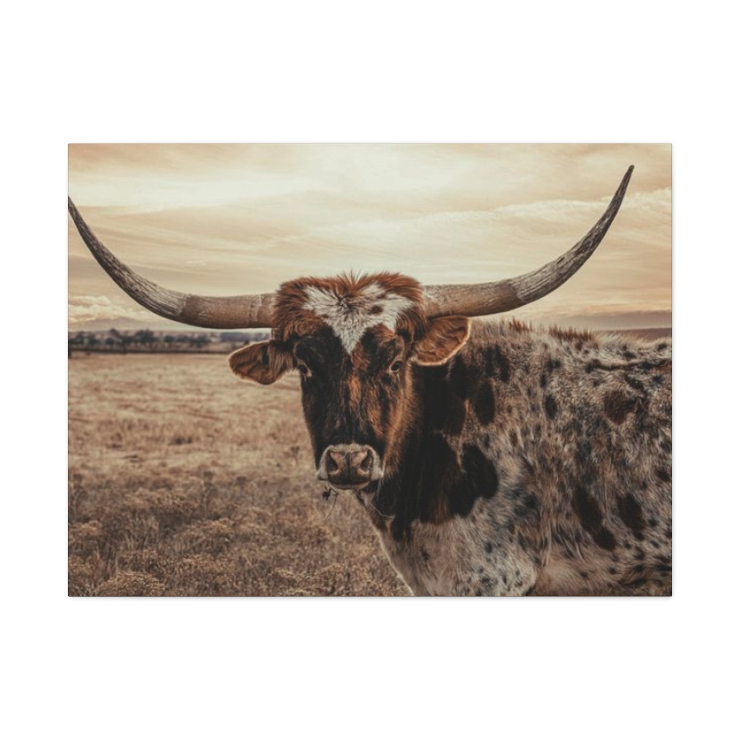 Wild Straight Long Horn Wall Art & Canvas Prints