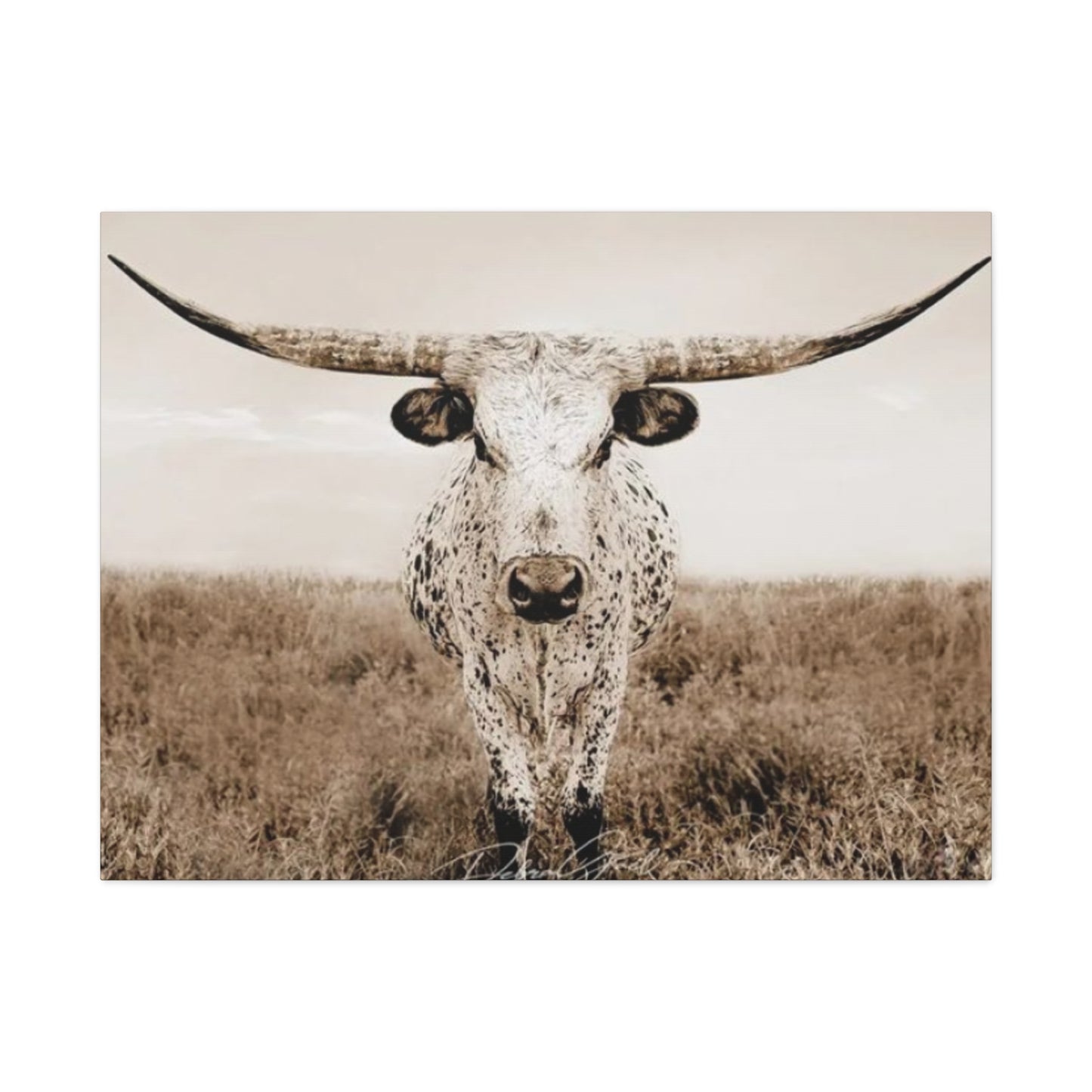 Straight Long Horn Wall Art & Canvas Prints