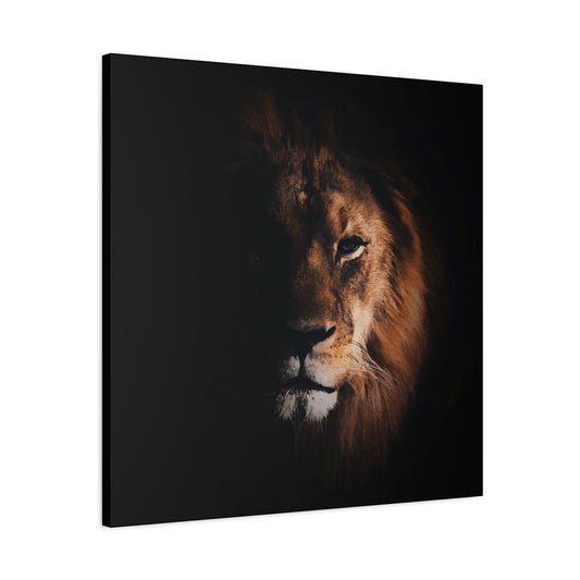 King of the Jungle Wall Art & Canvas Prints