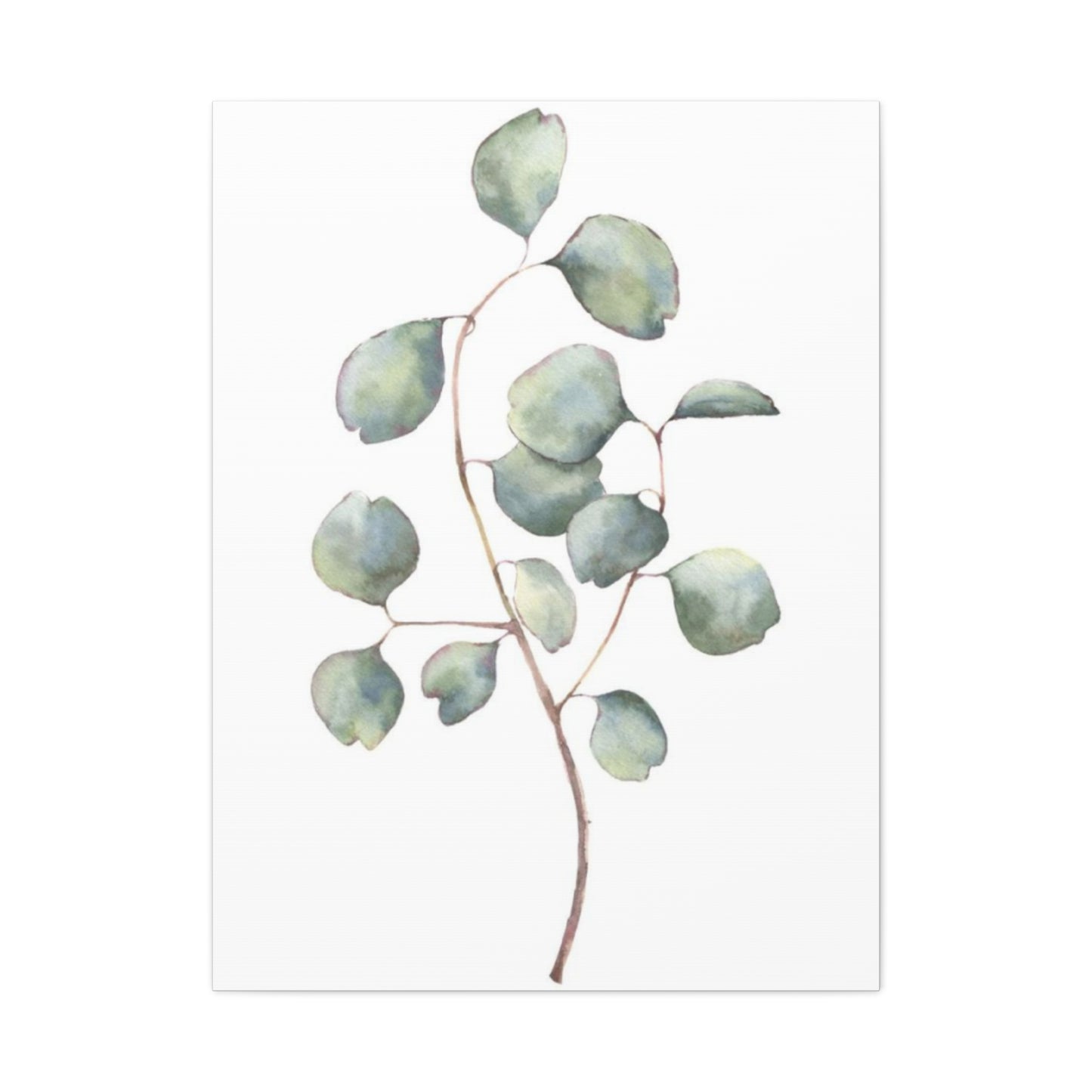 Eucalyptus Stem Wall Art & Canvas Prints