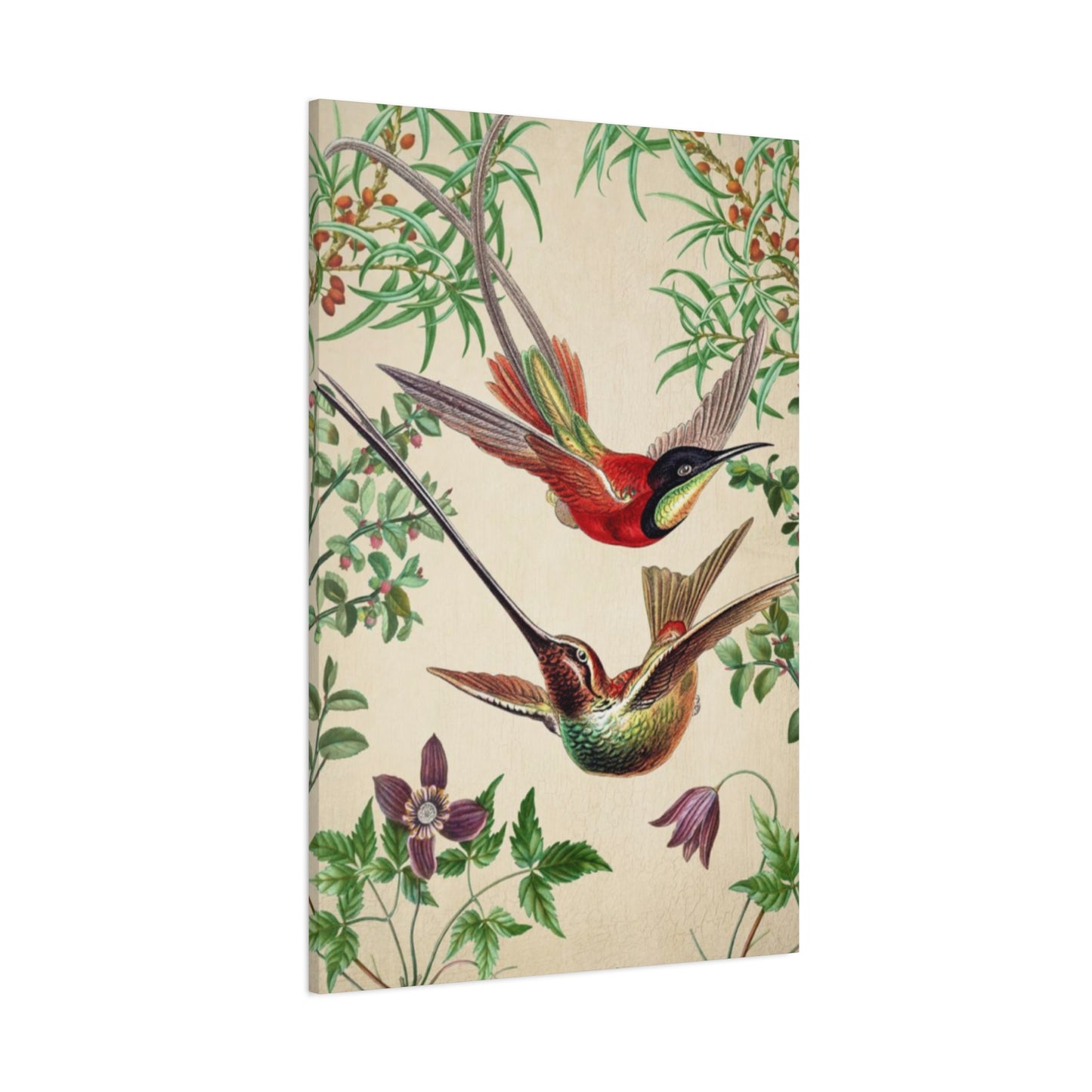 Humming Bird Couple Candid Painting Wall Art & Canvas Prints