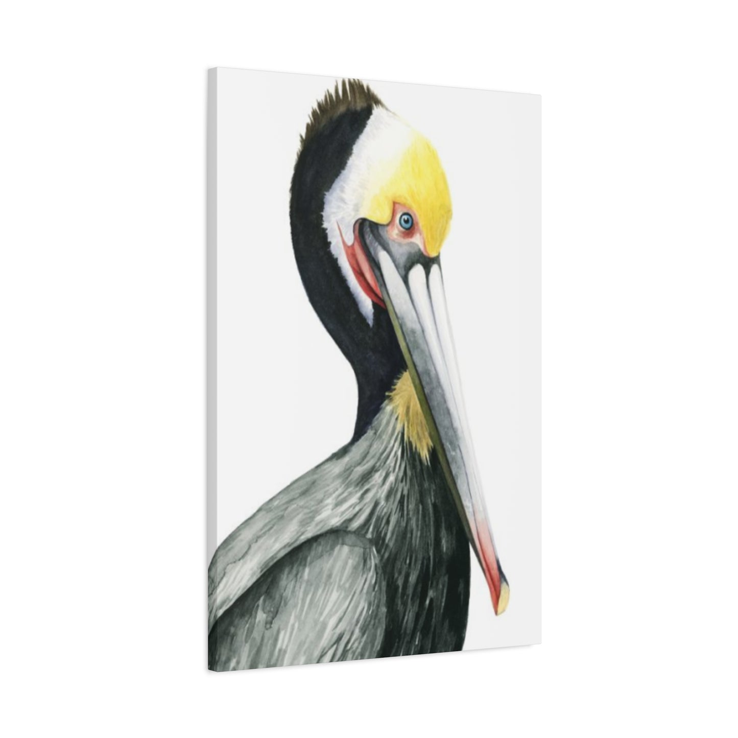 Long Beak Pelican Candid Drawing Wall Art & Canvas Prints