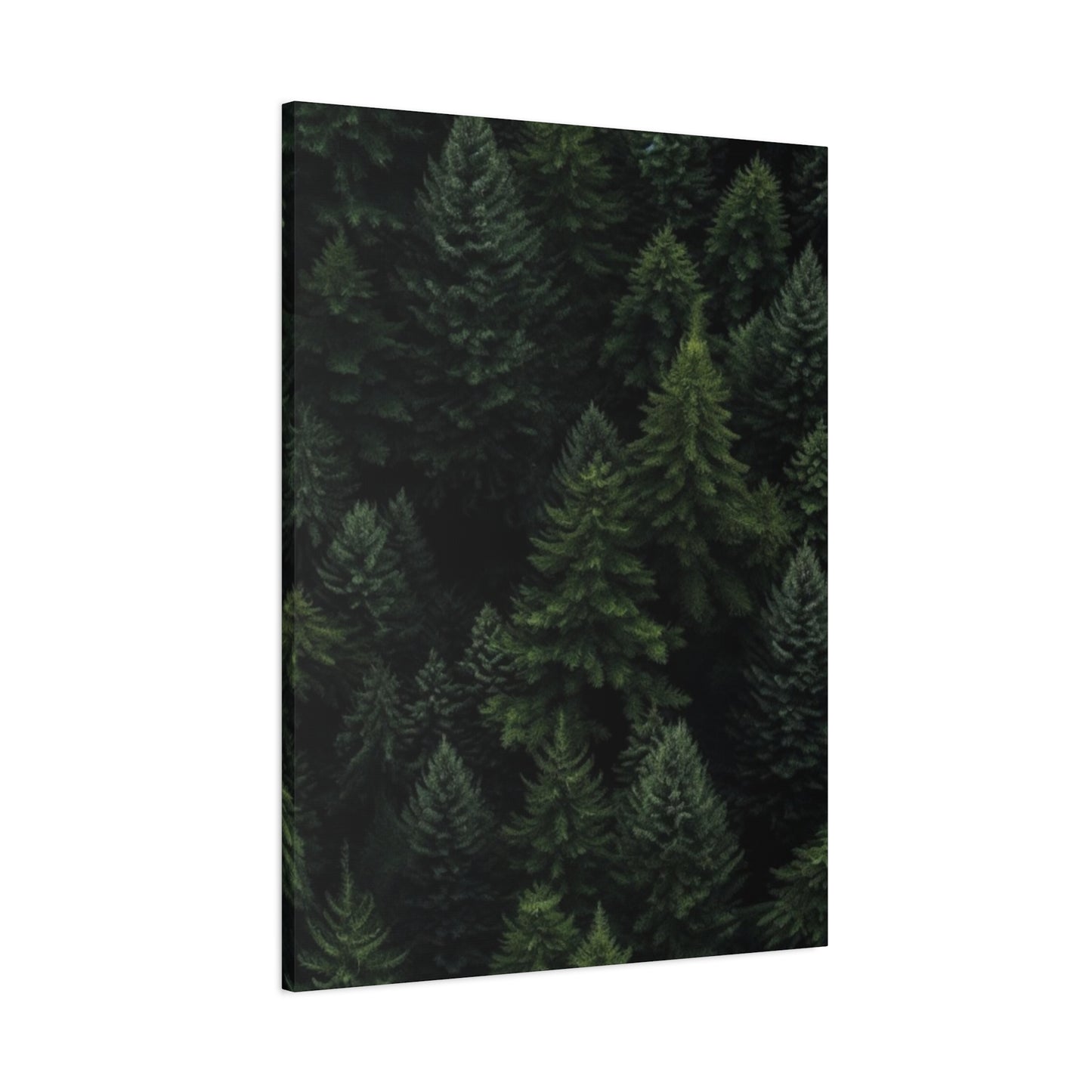 Tropical Pine Forest Wall Art & Canvas Prints