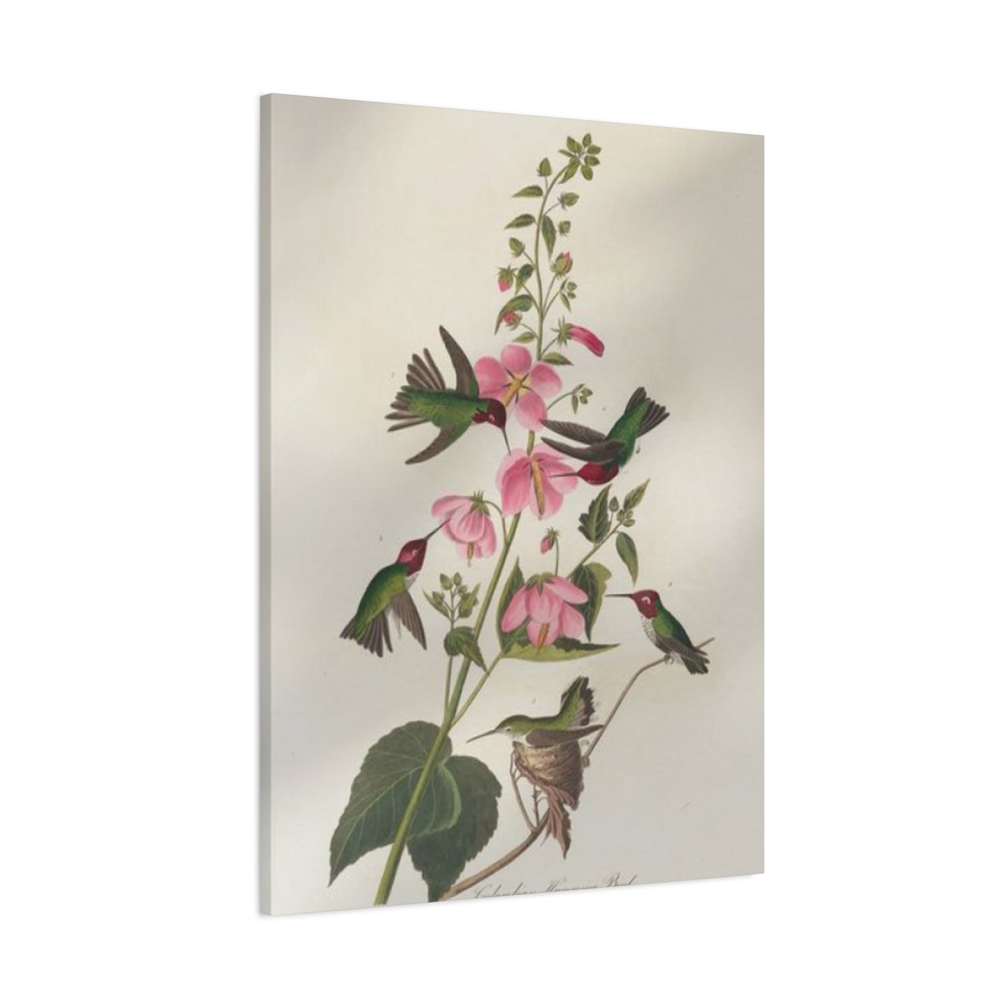 Humming Bird On Flower Painting Wall Art & Canvas Prints