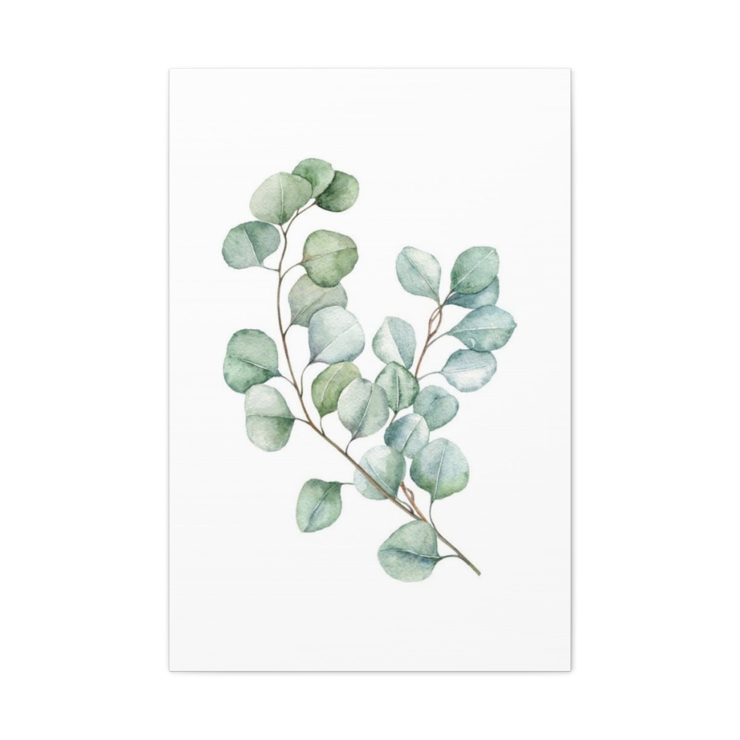 Eucalyptus Stem Wall Art & Canvas Prints