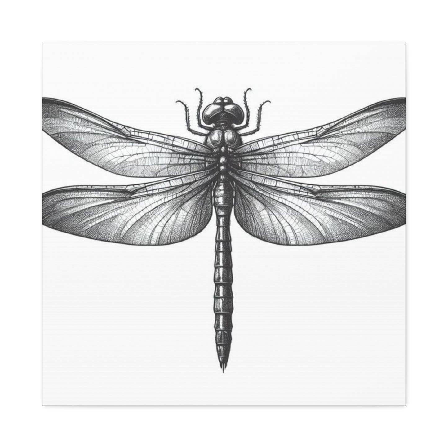 Top of Black Dragonfly Wall Art & Canvas Prints