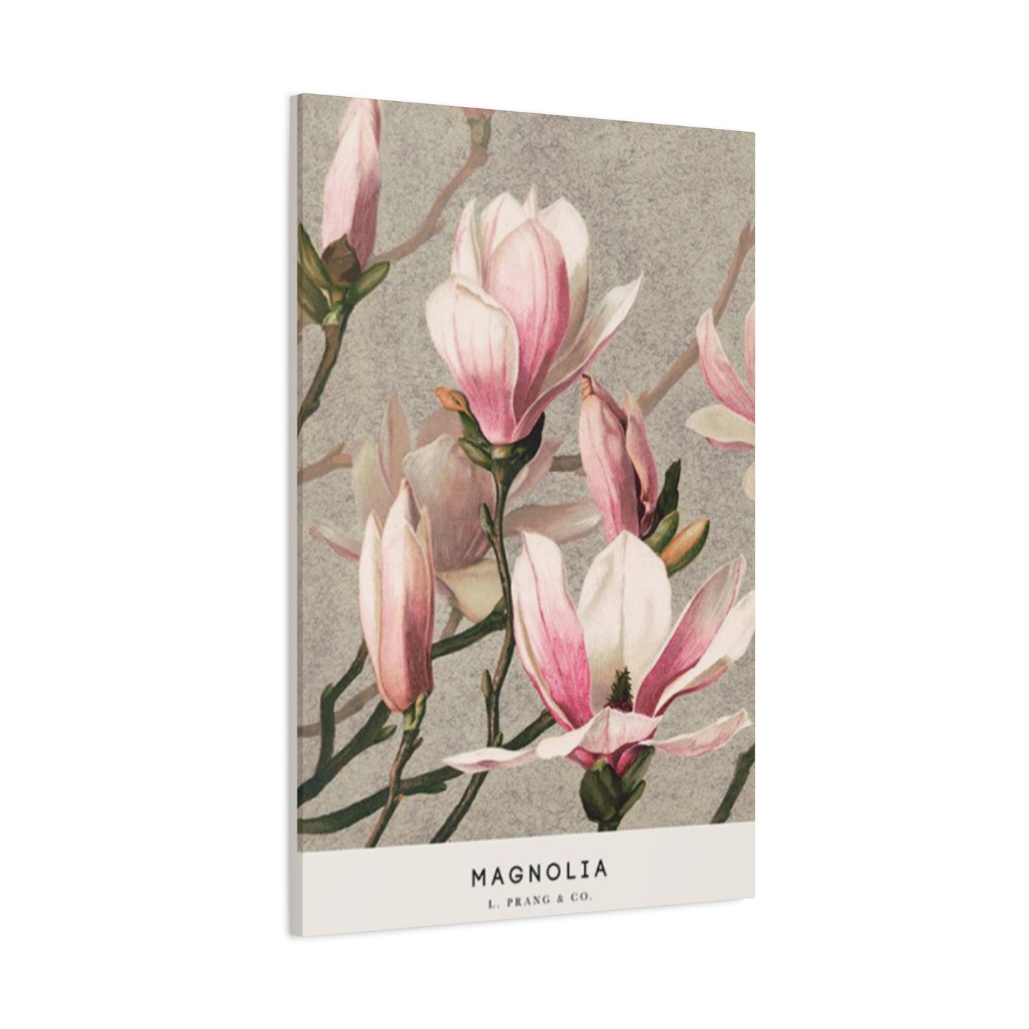 Pink Magnolia Flower Painting Wall Art & Canvas Prints