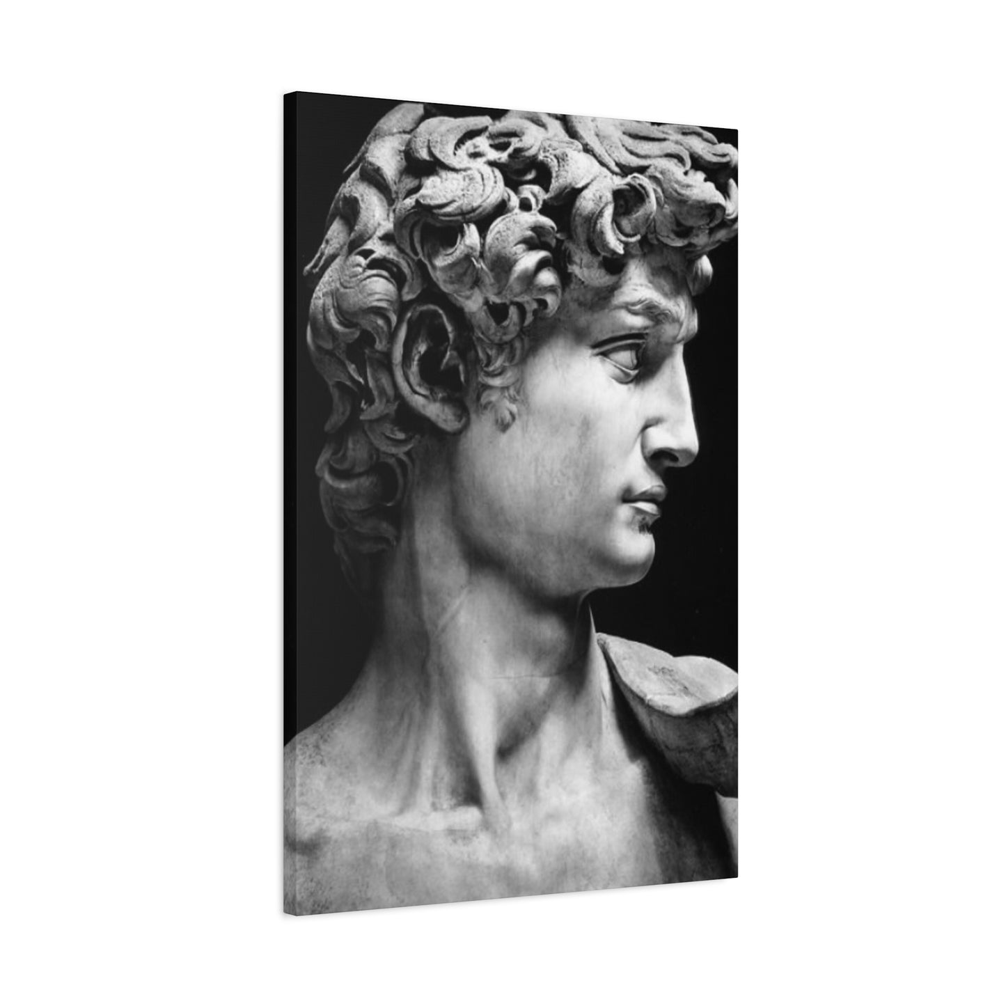 Sculpture If David Oil Painting Modernism Wall Art & Canvas Prints