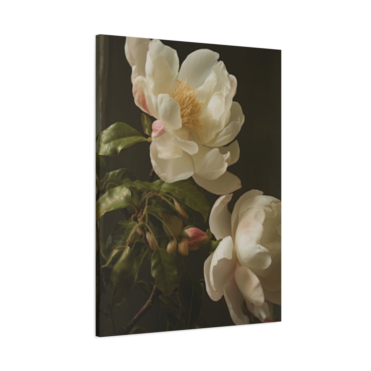 White on Black Background Magnolia Flower Wall Art & Canvas Prints