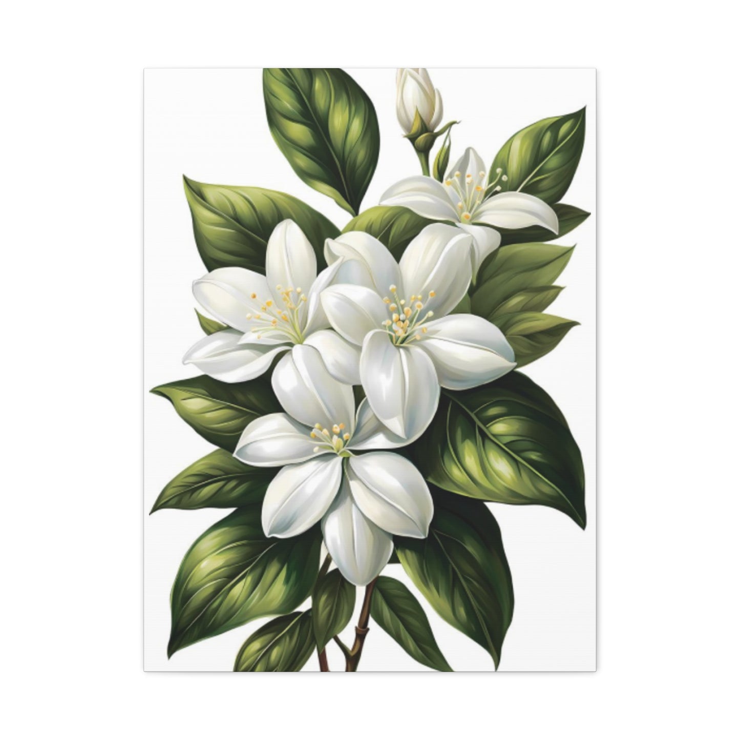 Beautiful White Magnolia Flower Painting Wall Art & Canvas Prints