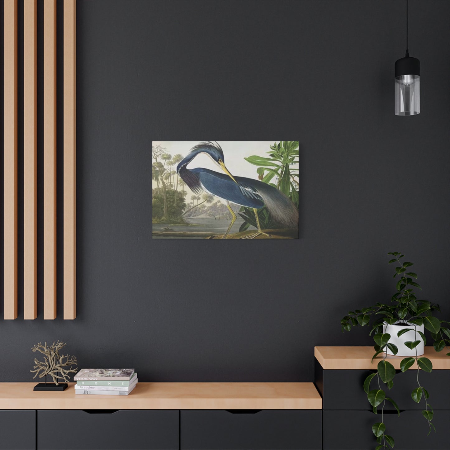 Long Feather Pelican Wall Art & Canvas Prints