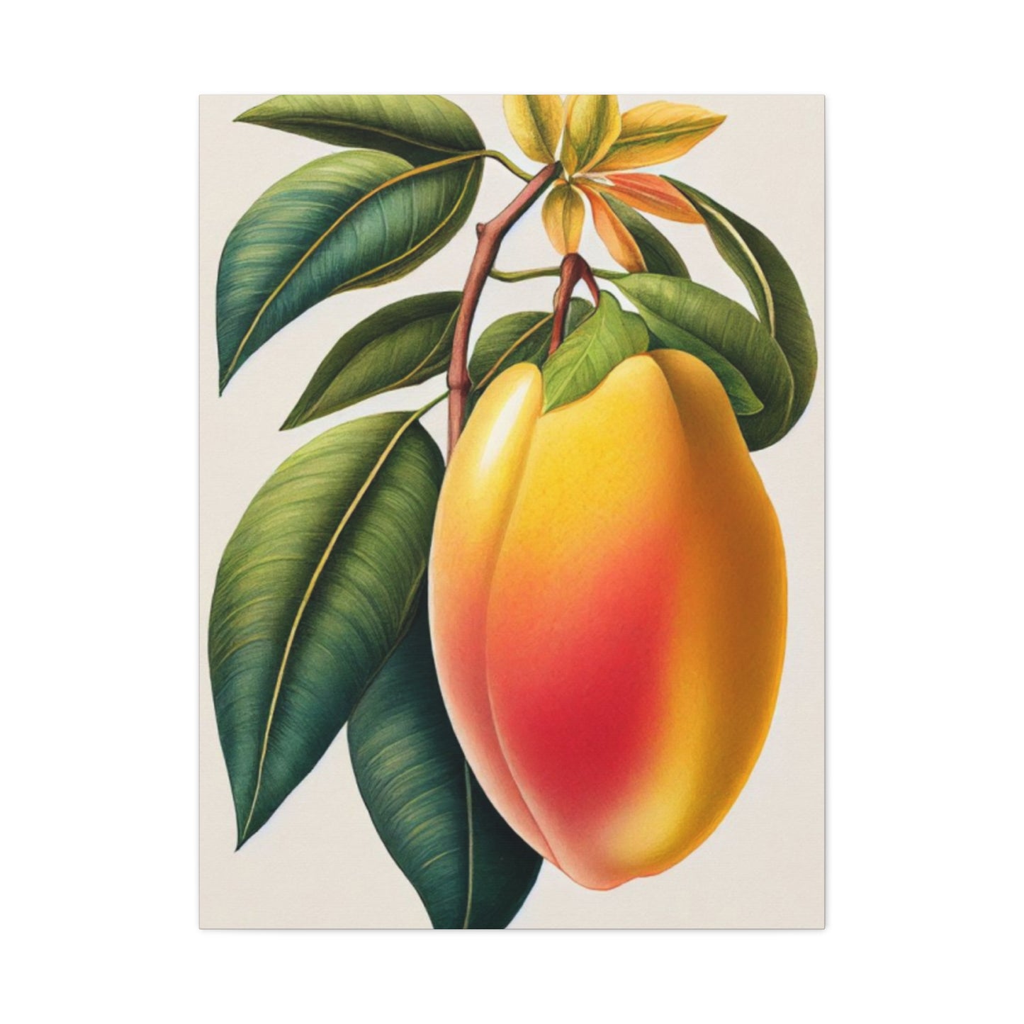 Mango Wall Art & Canvas Prints