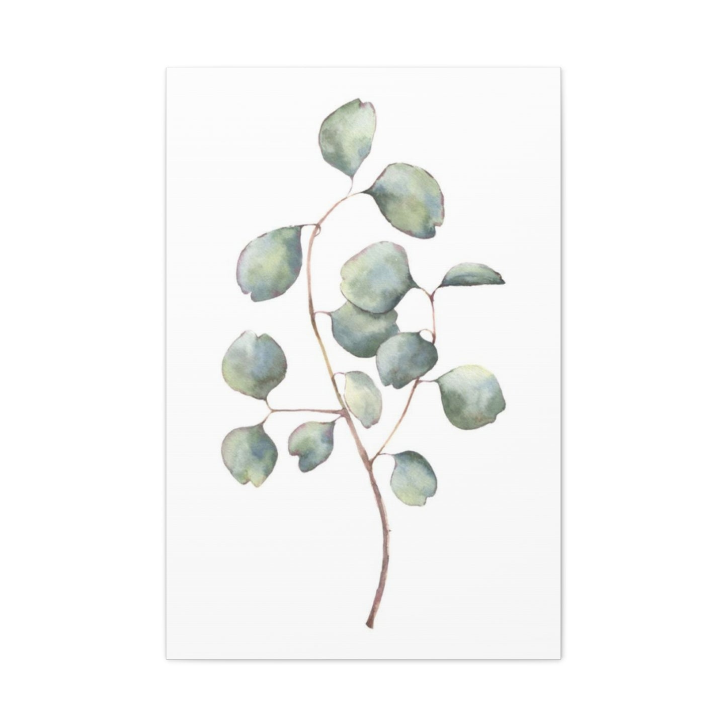 Eucalyptus Stem Wall Art & Canvas Prints