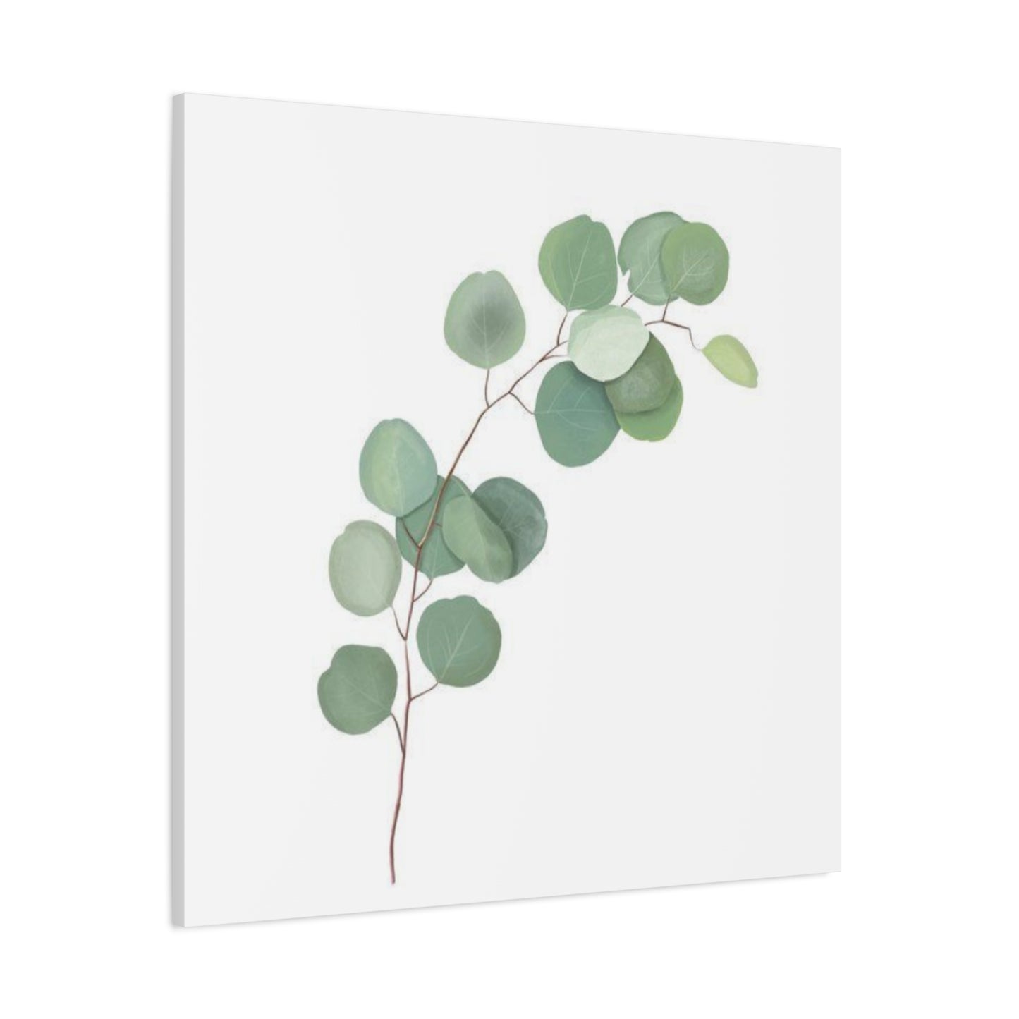 Eucalyptus Stem Wall Art & Canvas Prints