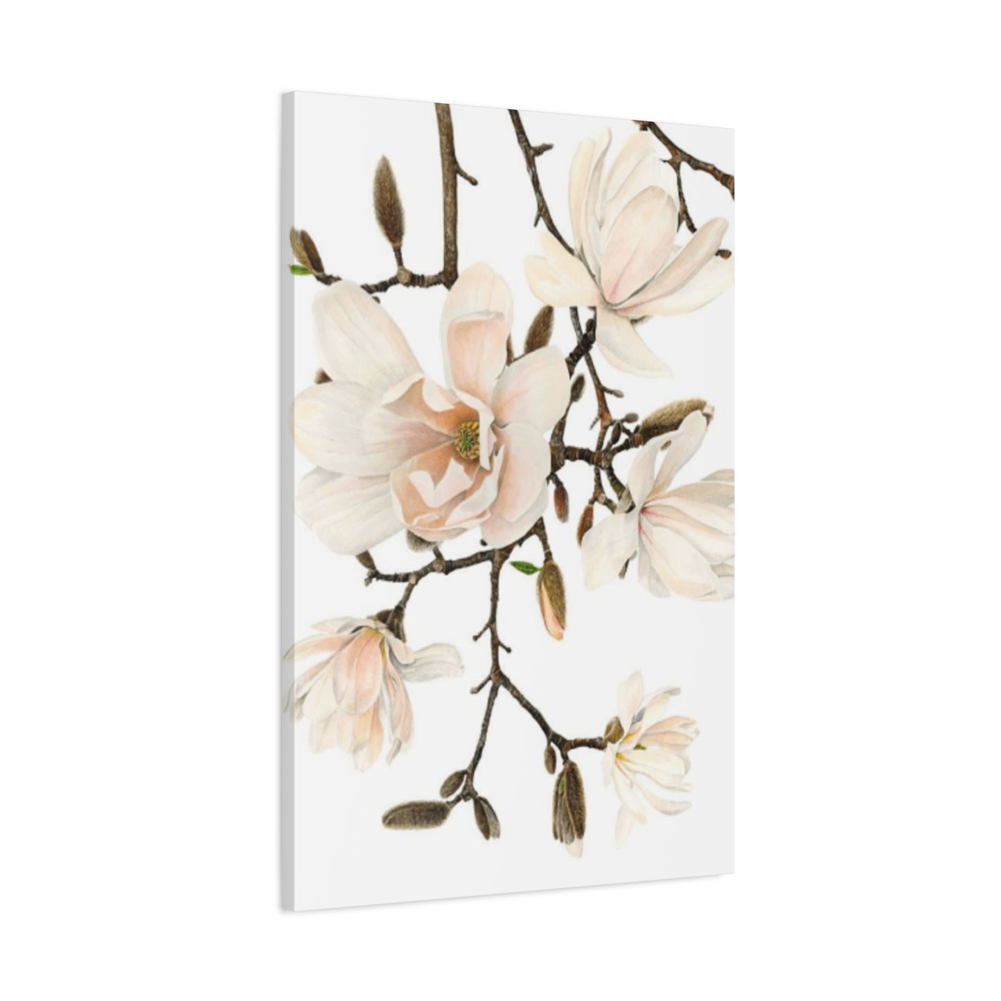 Pink Magnolia Flower Painting Wall Art & Canvas Prints