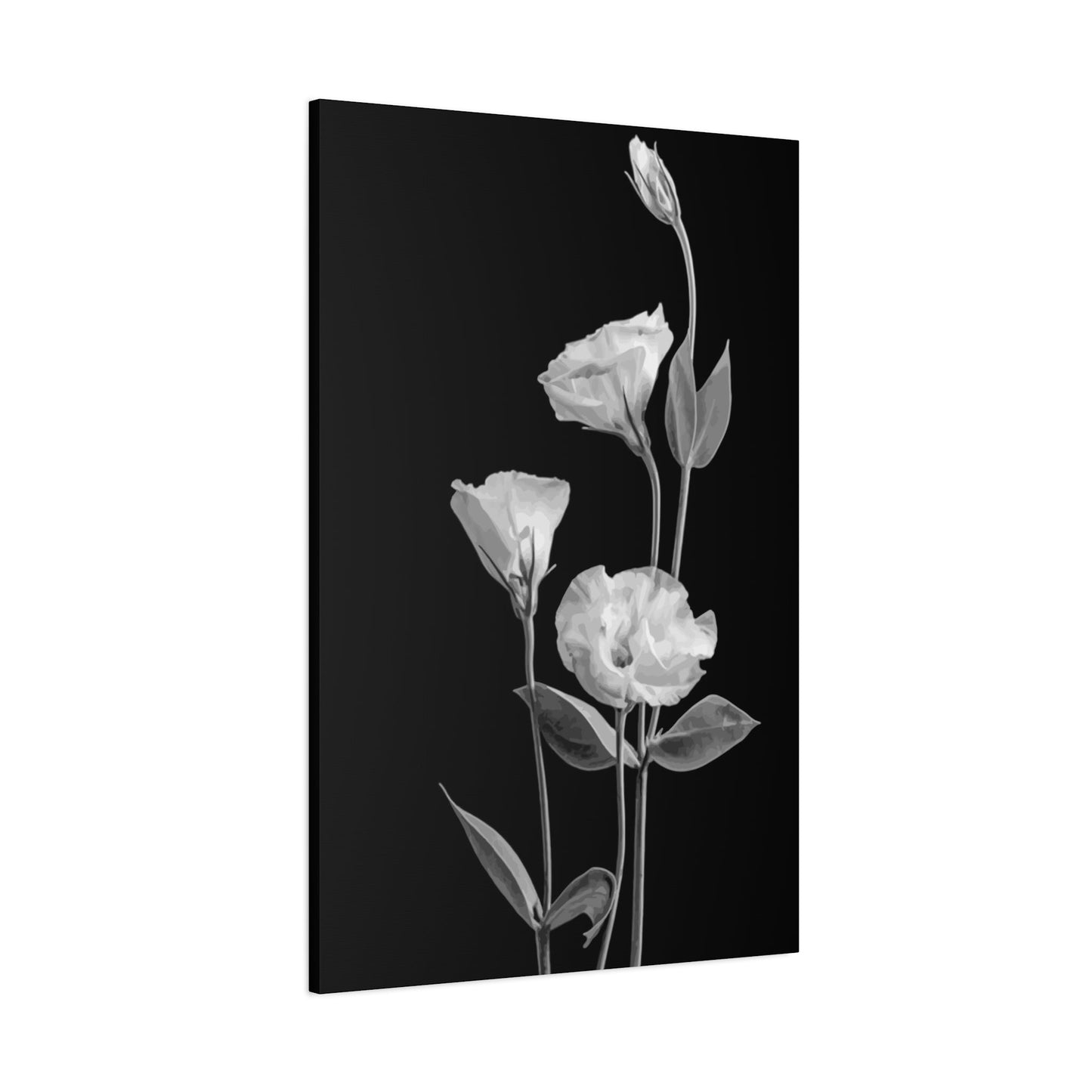 Black and White Flower Wall Art & Canvas Prints