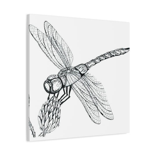 Black & White Dragonfly Wall Art & Canvas Prints