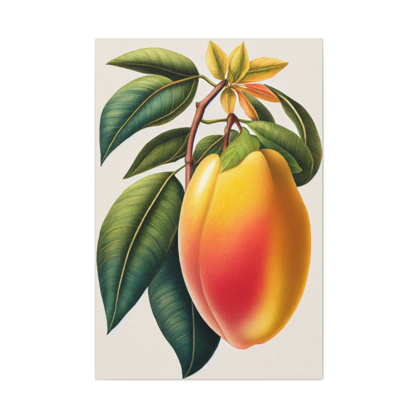 Mango Wall Art & Canvas Prints