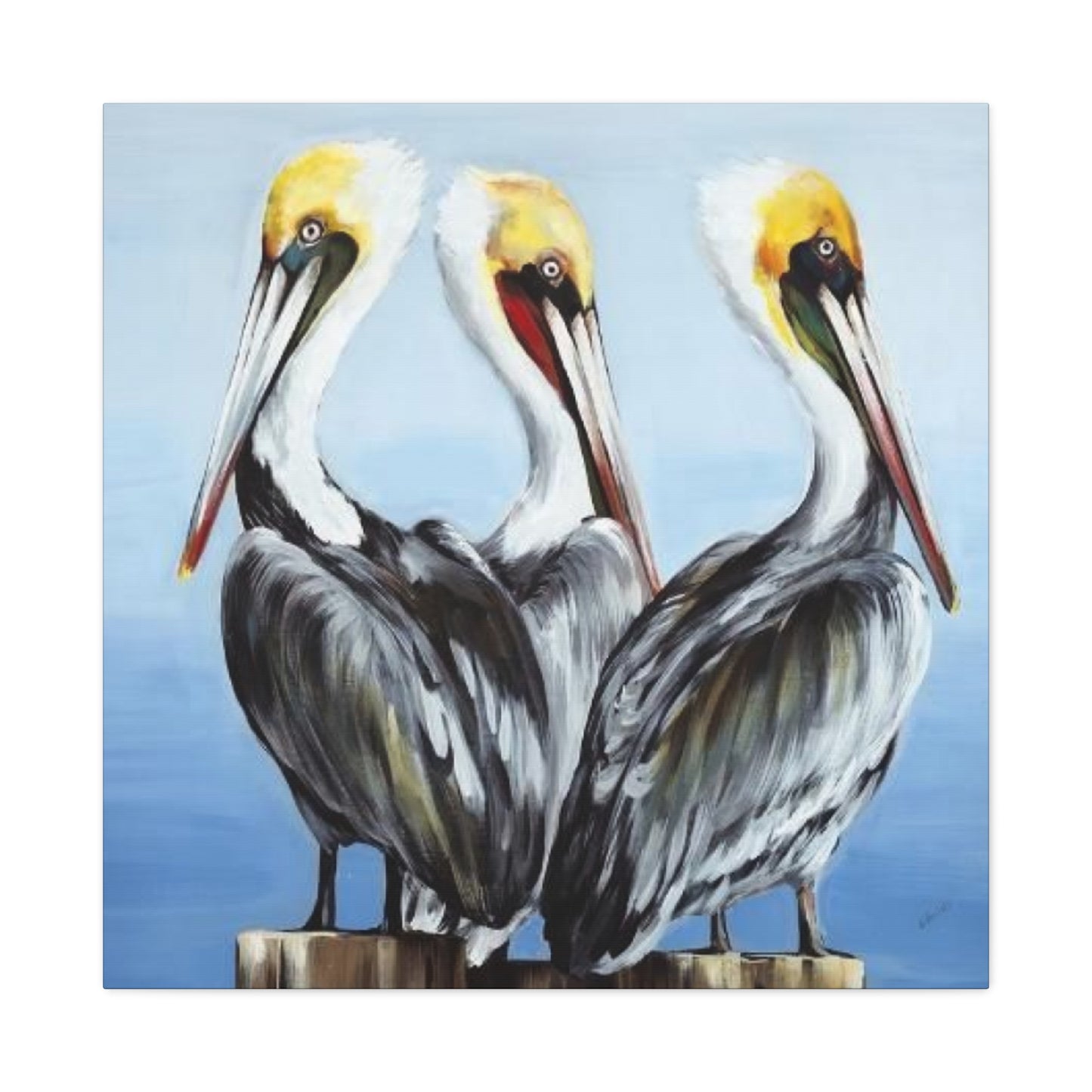 Three Pelican Family Poster Wall Art & Canvas Prints