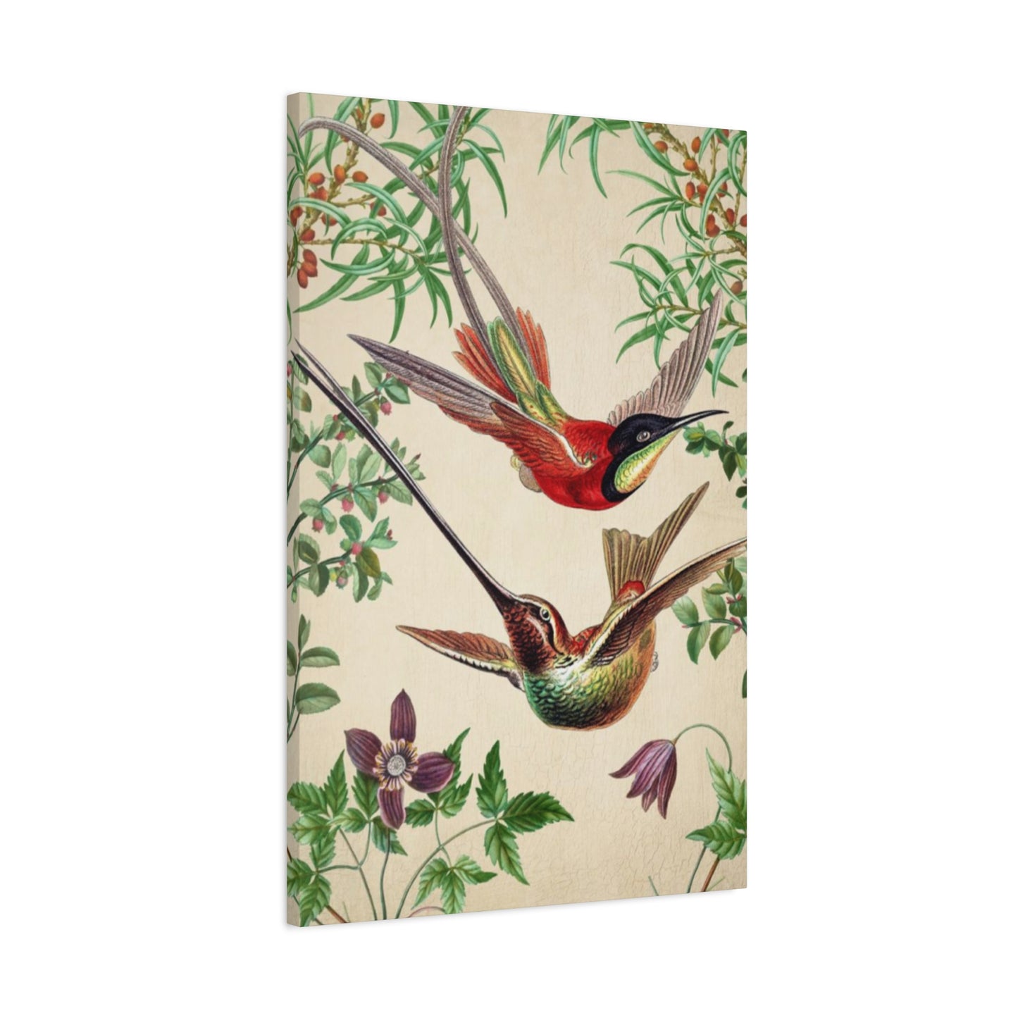 Humming Bird Couple Candid Painting Wall Art & Canvas Prints