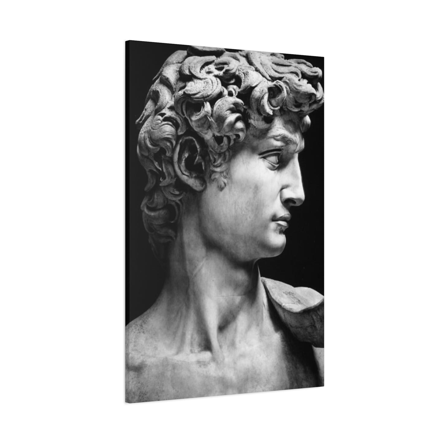 Sculpture If David Oil Painting Modernism Wall Art & Canvas Prints