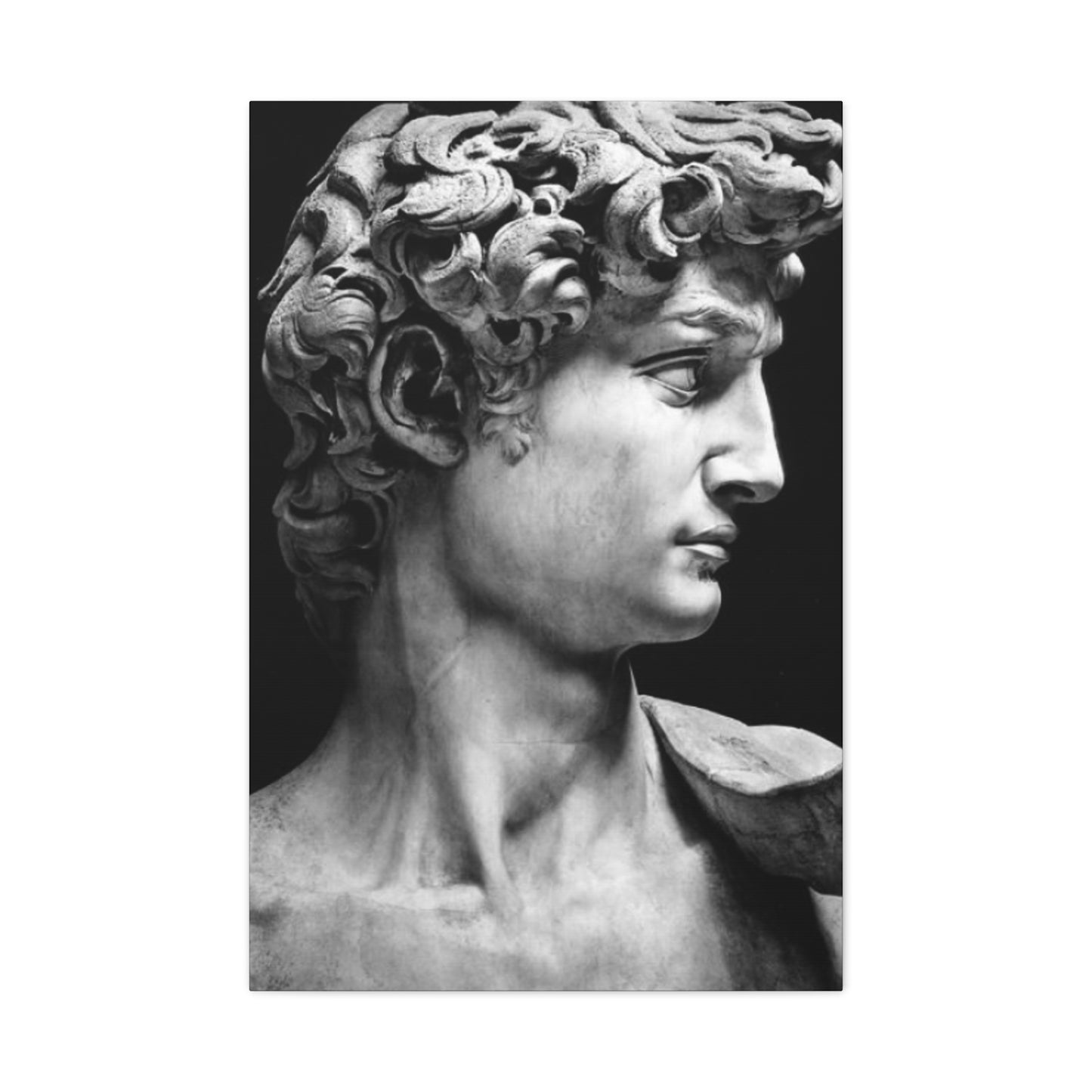 Sculpture If David Oil Painting Modernism Wall Art & Canvas Prints