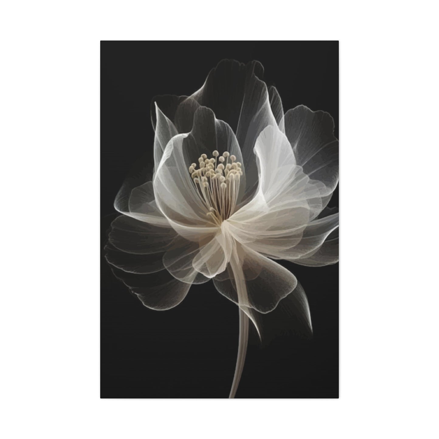 White flower Wall Art & Canvas Prints