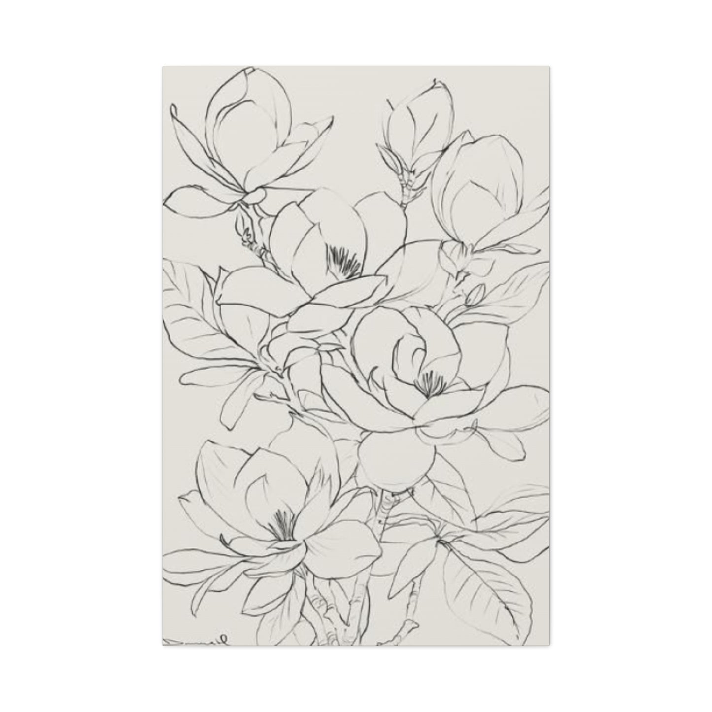 Magnolia Flower Sketch Wall Art & Canvas Prints