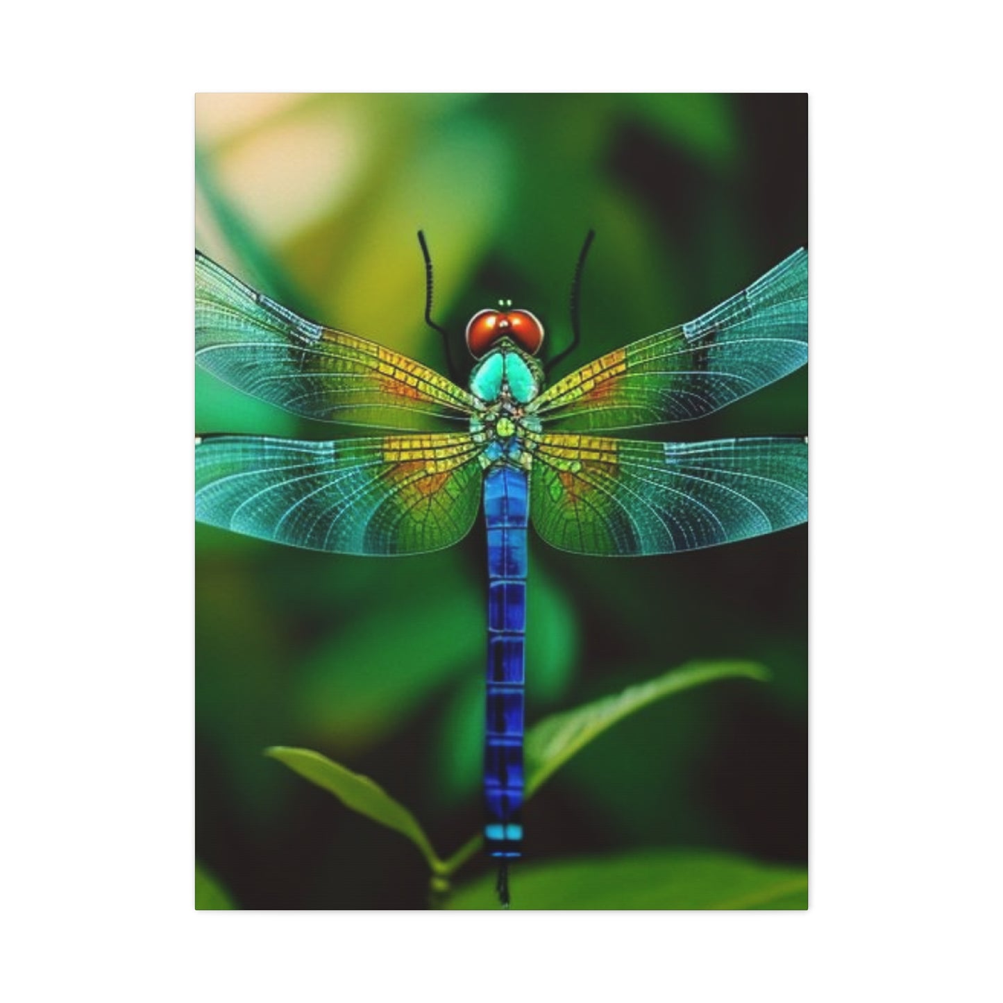 Dragonfly Top Closeup Wall Art & Canvas Prints