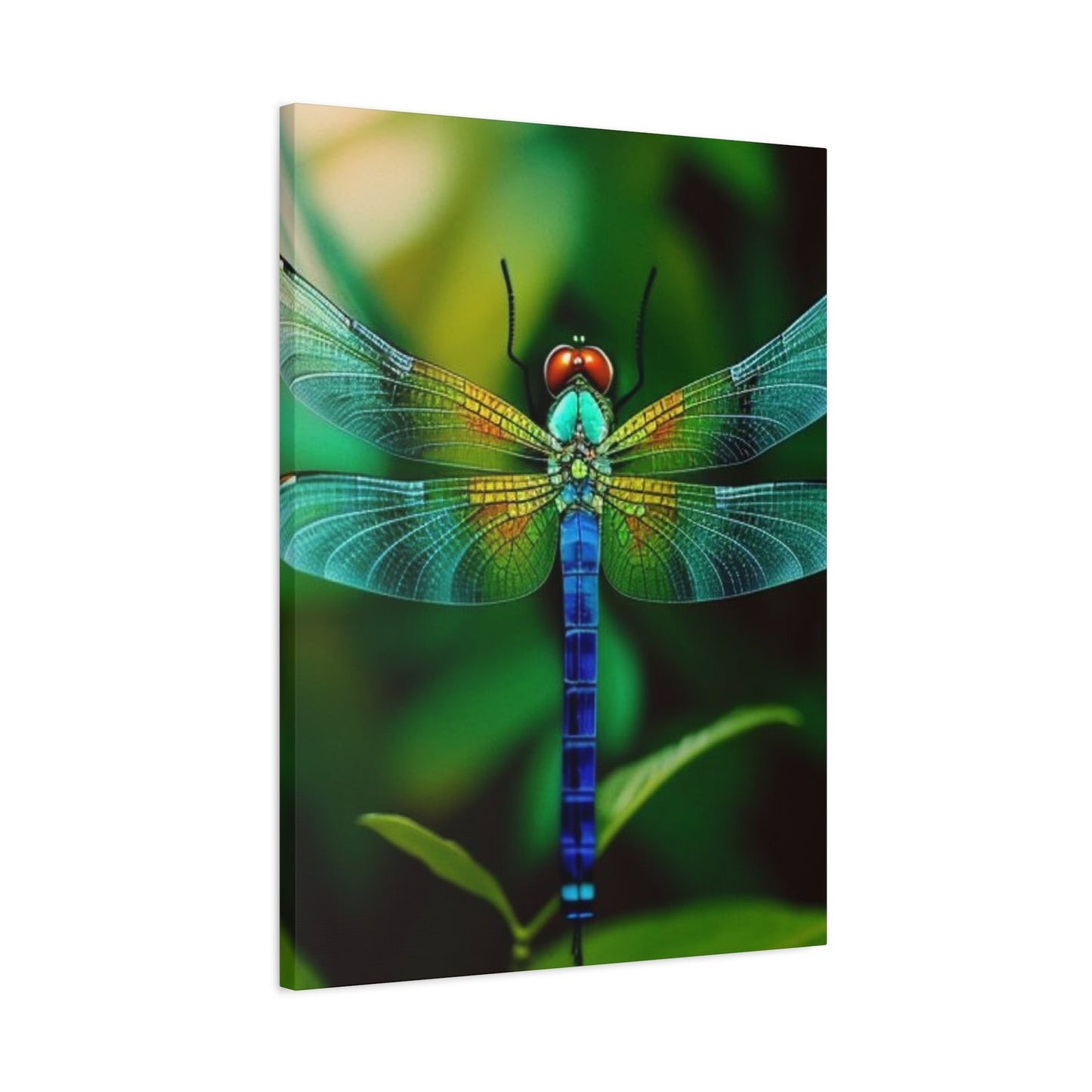 Dragonfly Top Closeup Wall Art & Canvas Prints