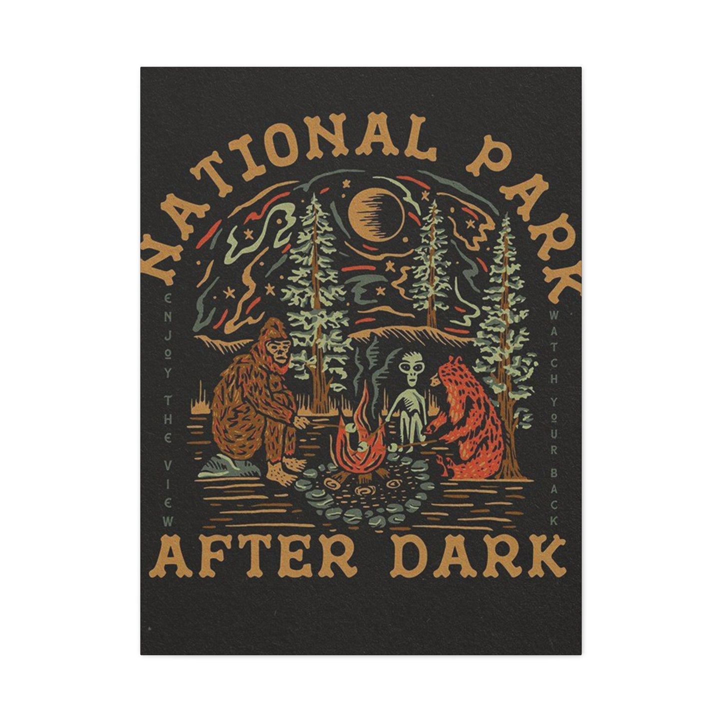 National Park After Dark Wall Art & Canvas Prints